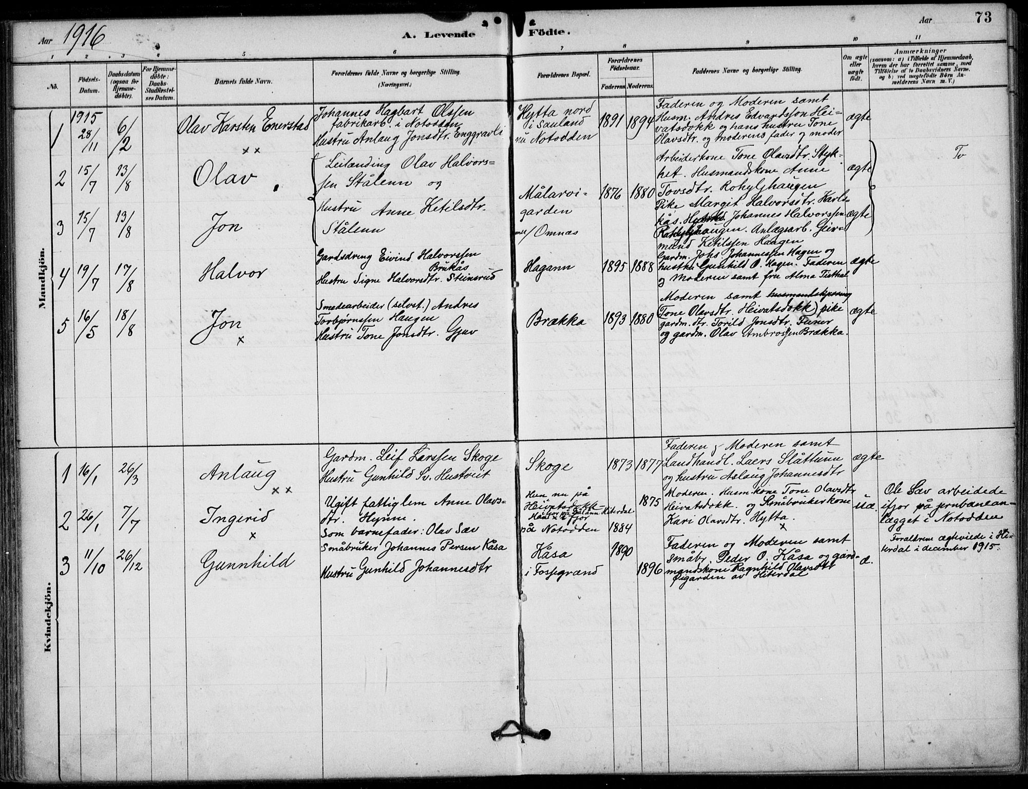 Hjartdal kirkebøker, AV/SAKO-A-270/F/Fb/L0002: Parish register (official) no. II 2, 1880-1932, p. 73