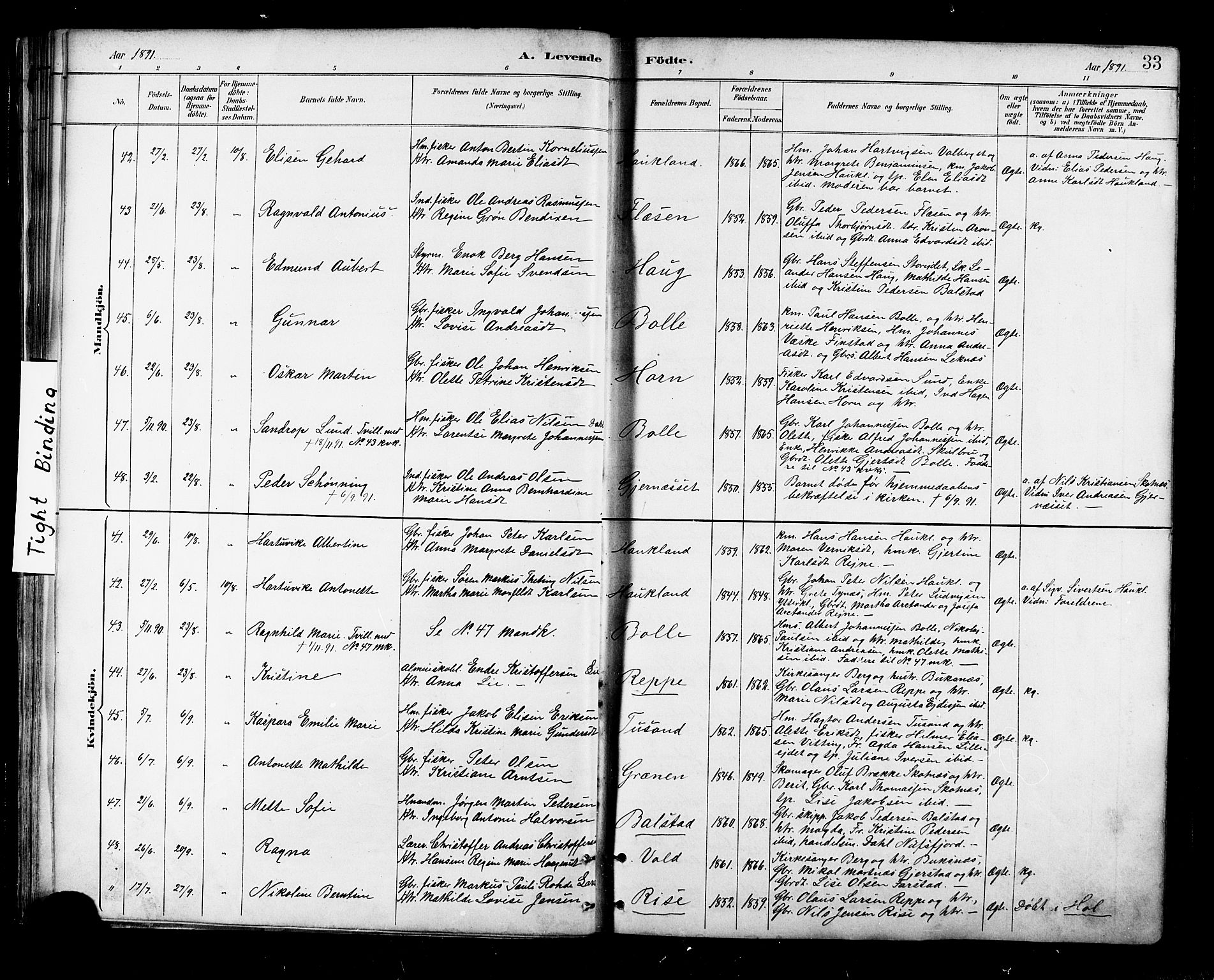 Ministerialprotokoller, klokkerbøker og fødselsregistre - Nordland, AV/SAT-A-1459/881/L1167: Parish register (copy) no. 881C04, 1886-1899, p. 33