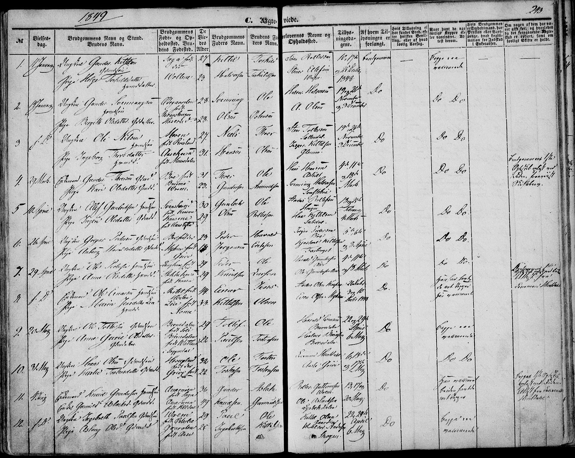 Bø kirkebøker, AV/SAKO-A-257/F/Fa/L0008: Parish register (official) no. 8, 1849-1861, p. 243