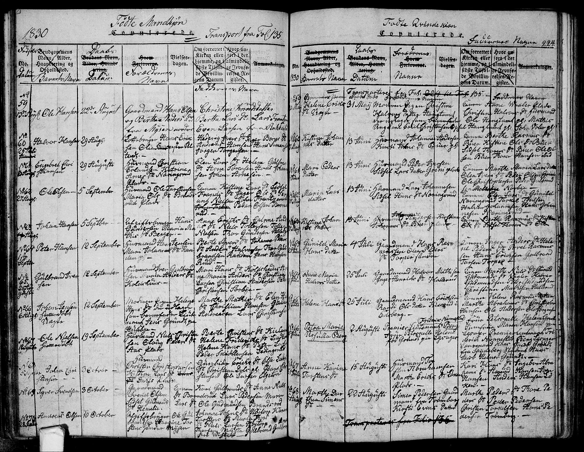 Eidsberg prestekontor Kirkebøker, SAO/A-10905/G/Ga/L0001: Parish register (copy) no. I 1, 1814-1831, p. 224