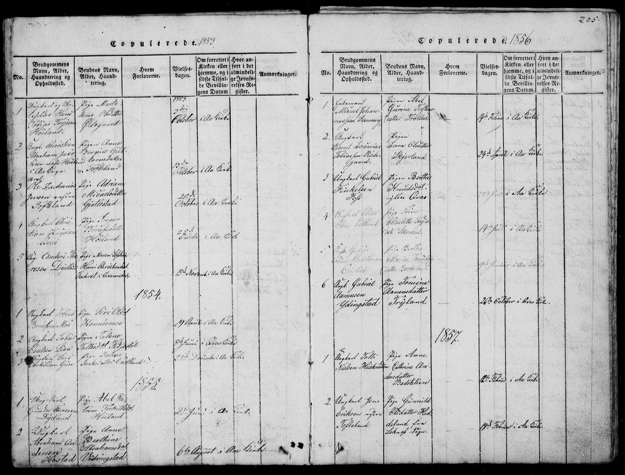 Lyngdal sokneprestkontor, AV/SAK-1111-0029/F/Fb/Fbb/L0001: Parish register (copy) no. B 1, 1816-1900, p. 205