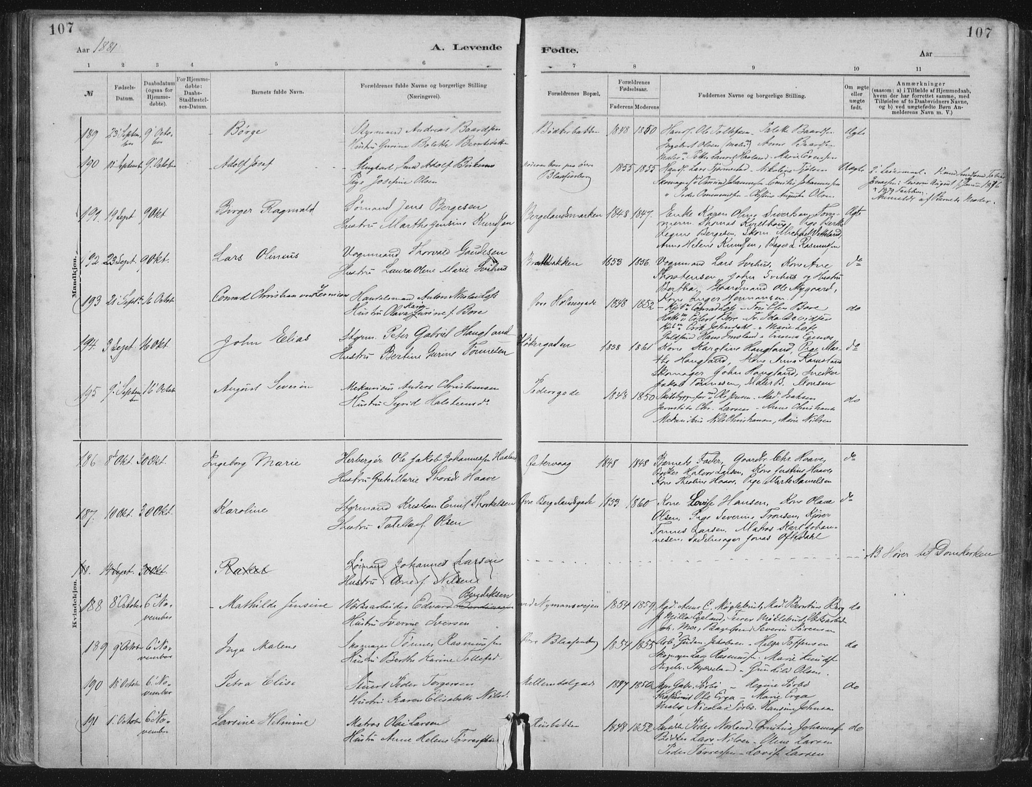 St. Petri sokneprestkontor, AV/SAST-A-101813/001/30/30BA/L0015: Parish register (official) no. A 15, 1879-1888, p. 107