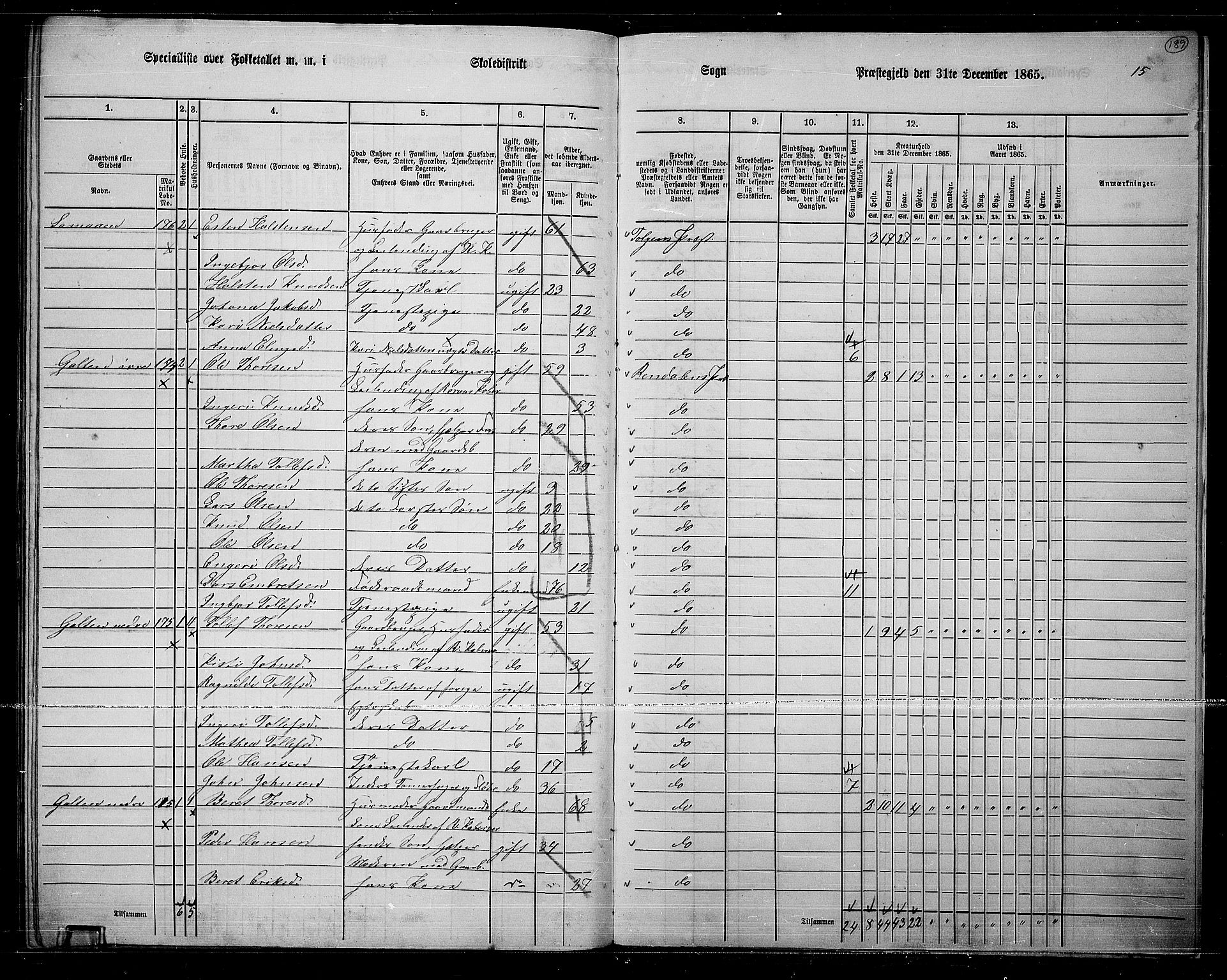 RA, 1865 census for Rendalen, 1865, p. 161