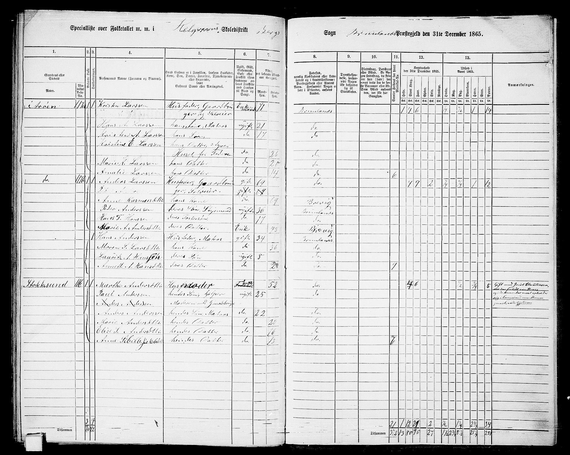 RA, 1865 census for Brunlanes, 1865, p. 174