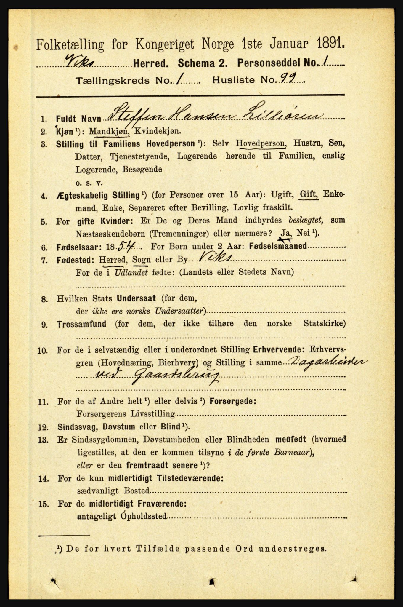 RA, 1891 census for 1417 Vik, 1891, p. 601