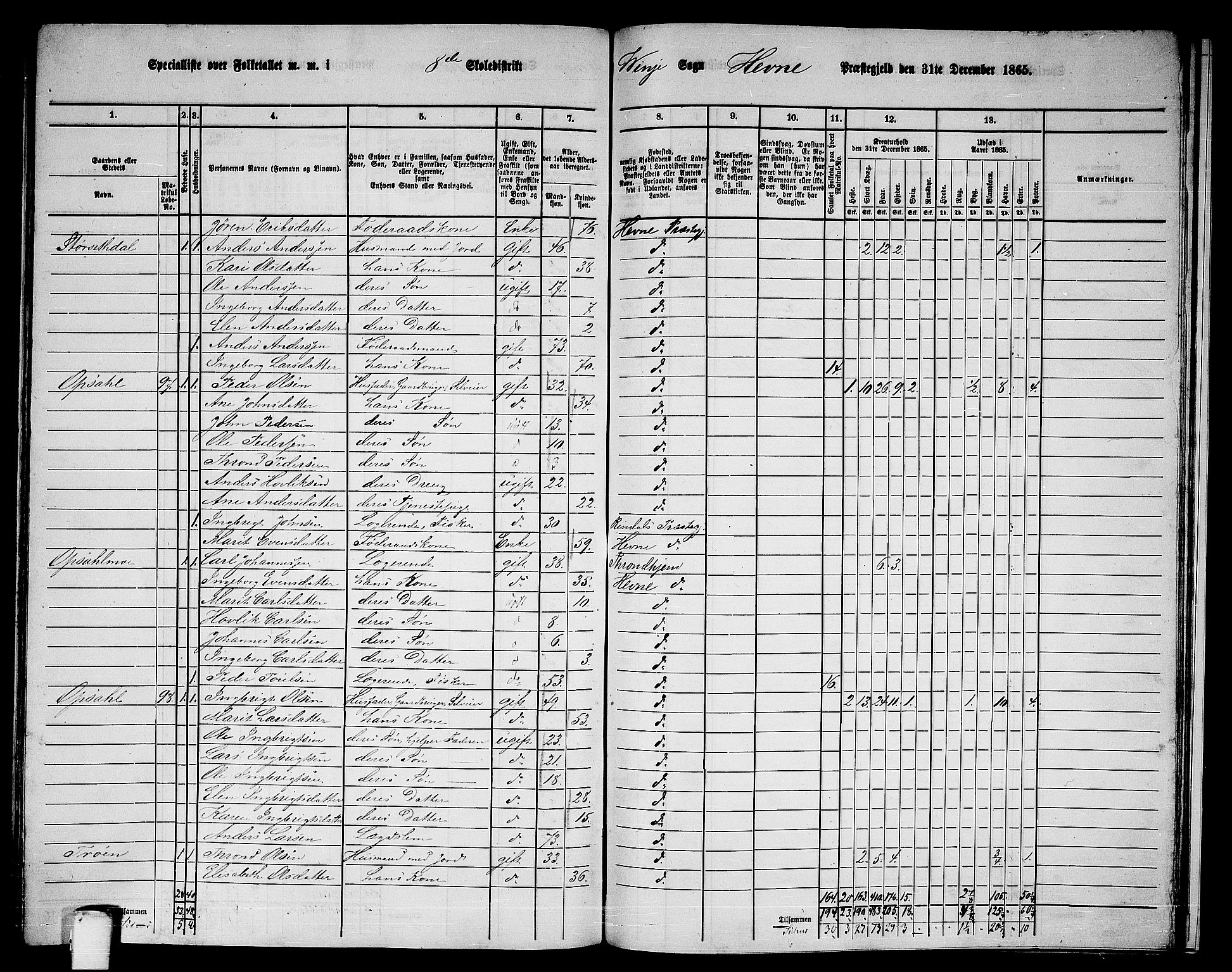 RA, 1865 census for Hemne, 1865, p. 173