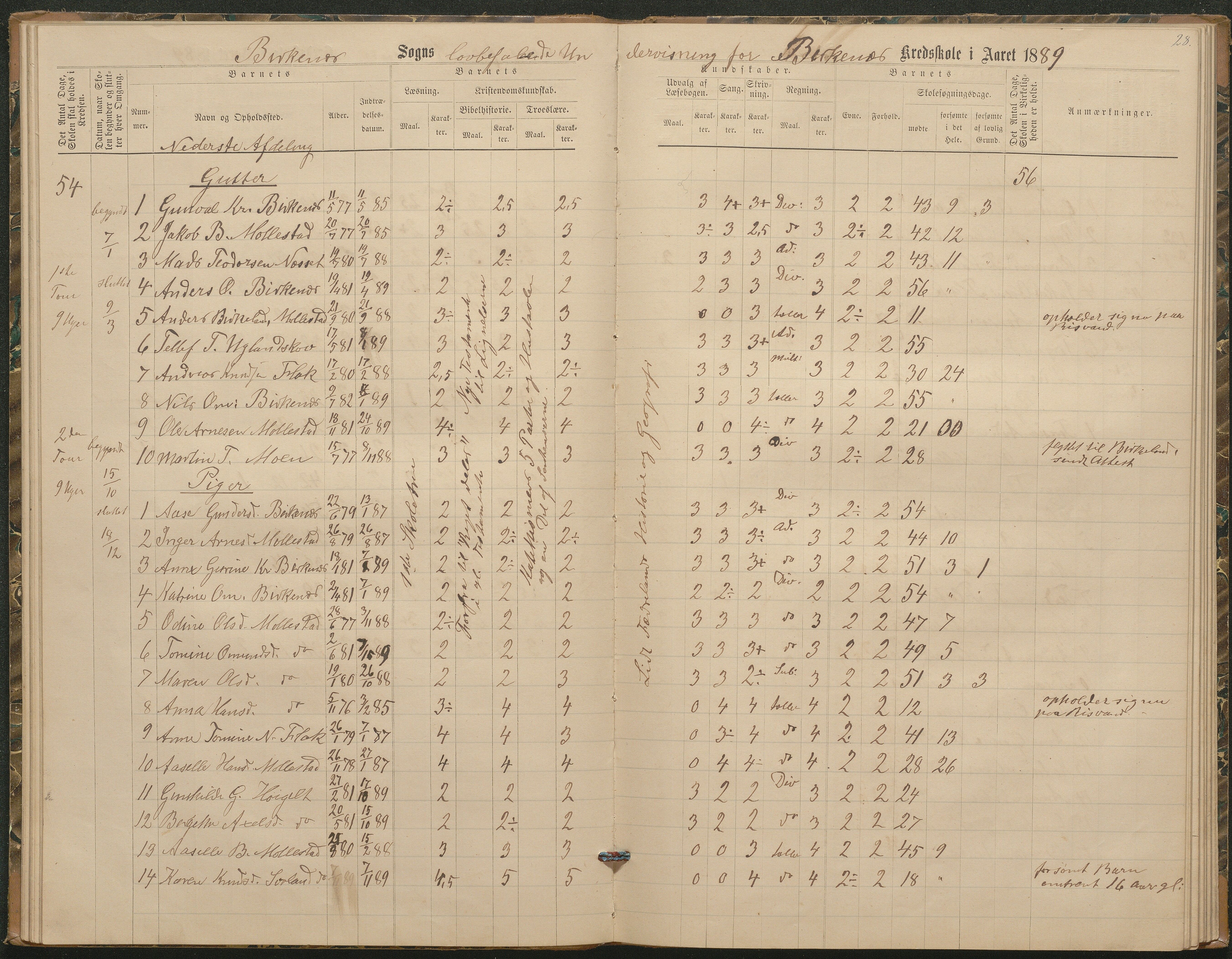 Birkenes kommune, Birkenes krets/Birkeland folkeskole frem til 1991, AAKS/KA0928-550a_91/F02/L0003: Skoleprotokoll, 1879-1891, p. 28