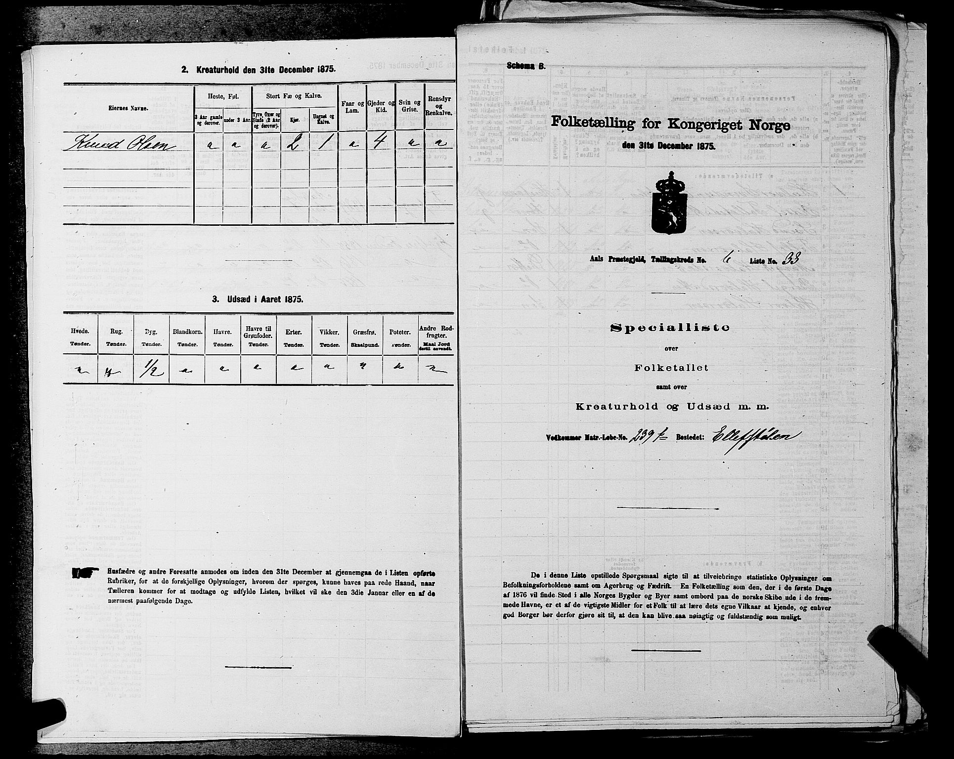 SAKO, 1875 census for 0619P Ål, 1875, p. 806
