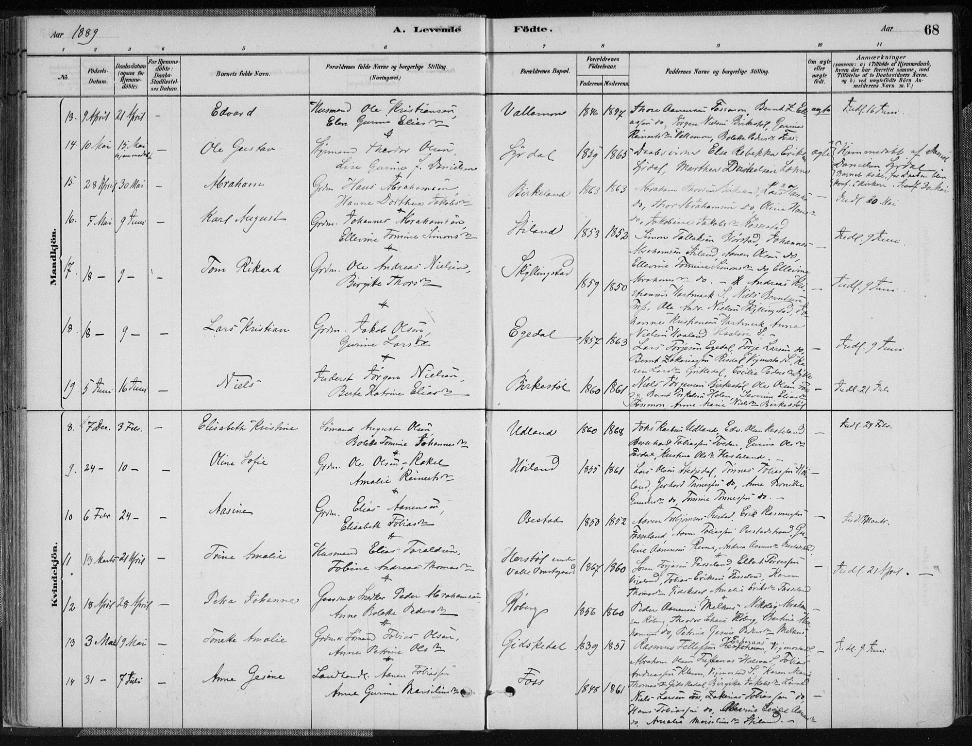Sør-Audnedal sokneprestkontor, AV/SAK-1111-0039/F/Fa/Fab/L0009: Parish register (official) no. A 9, 1880-1895, p. 68