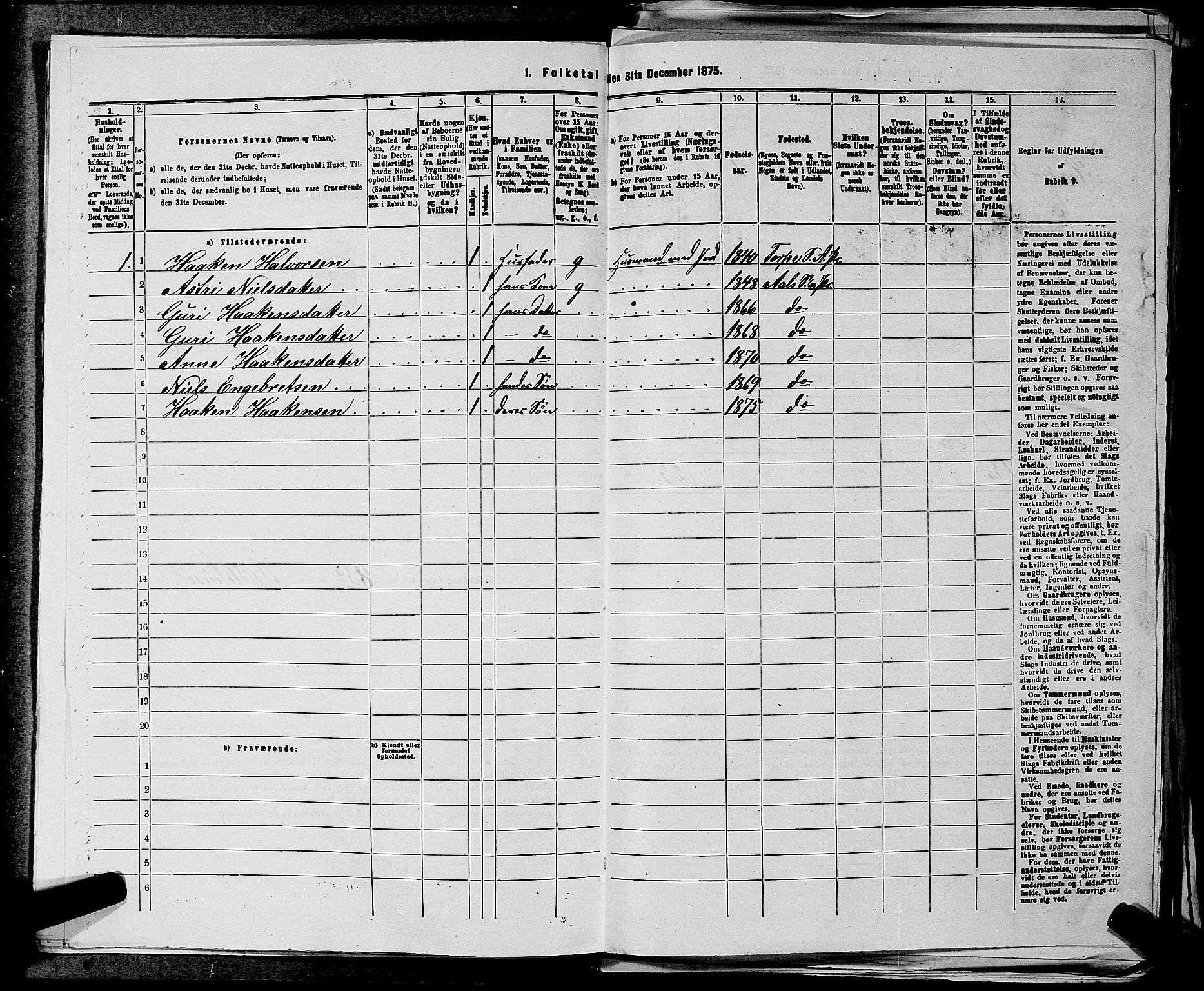 SAKO, 1875 census for 0619P Ål, 1875, p. 335