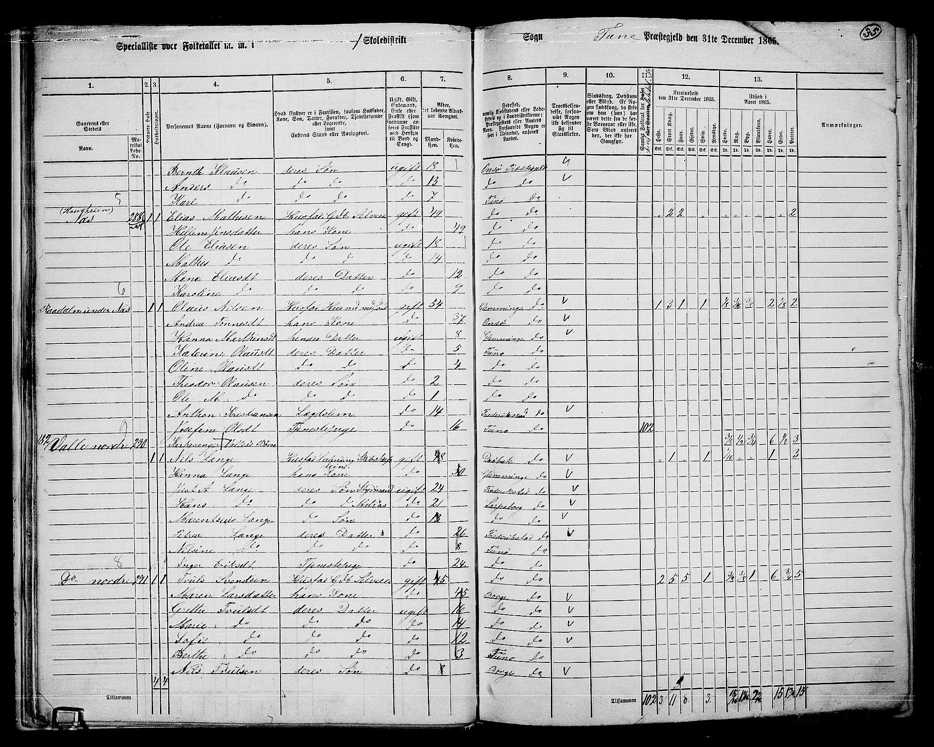 RA, 1865 census for Tune, 1865, p. 32