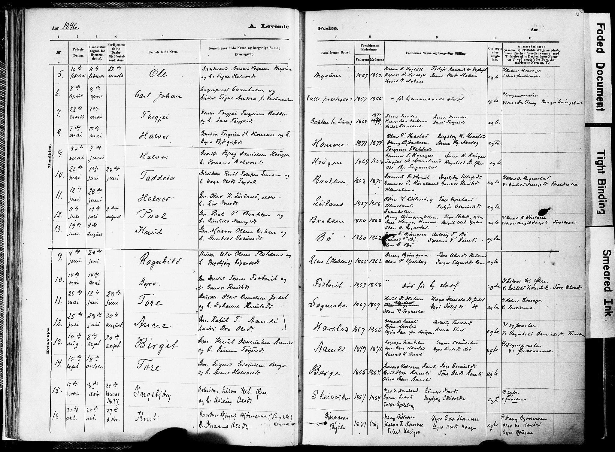 Valle sokneprestkontor, SAK/1111-0044/F/Fa/Fac/L0009: Parish register (official) no. A 9, 1882-1913, p. 32