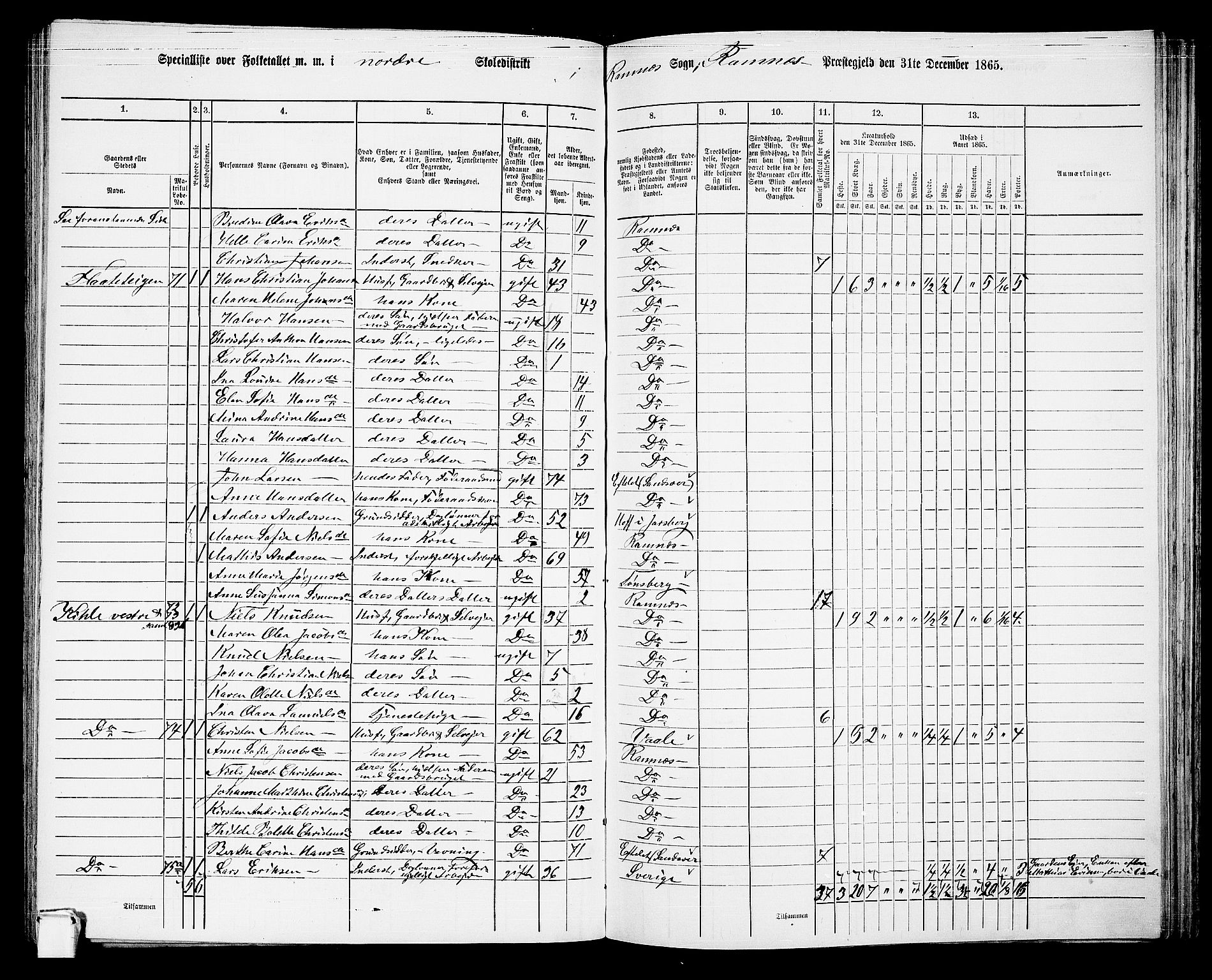 RA, 1865 census for Ramnes, 1865, p. 60