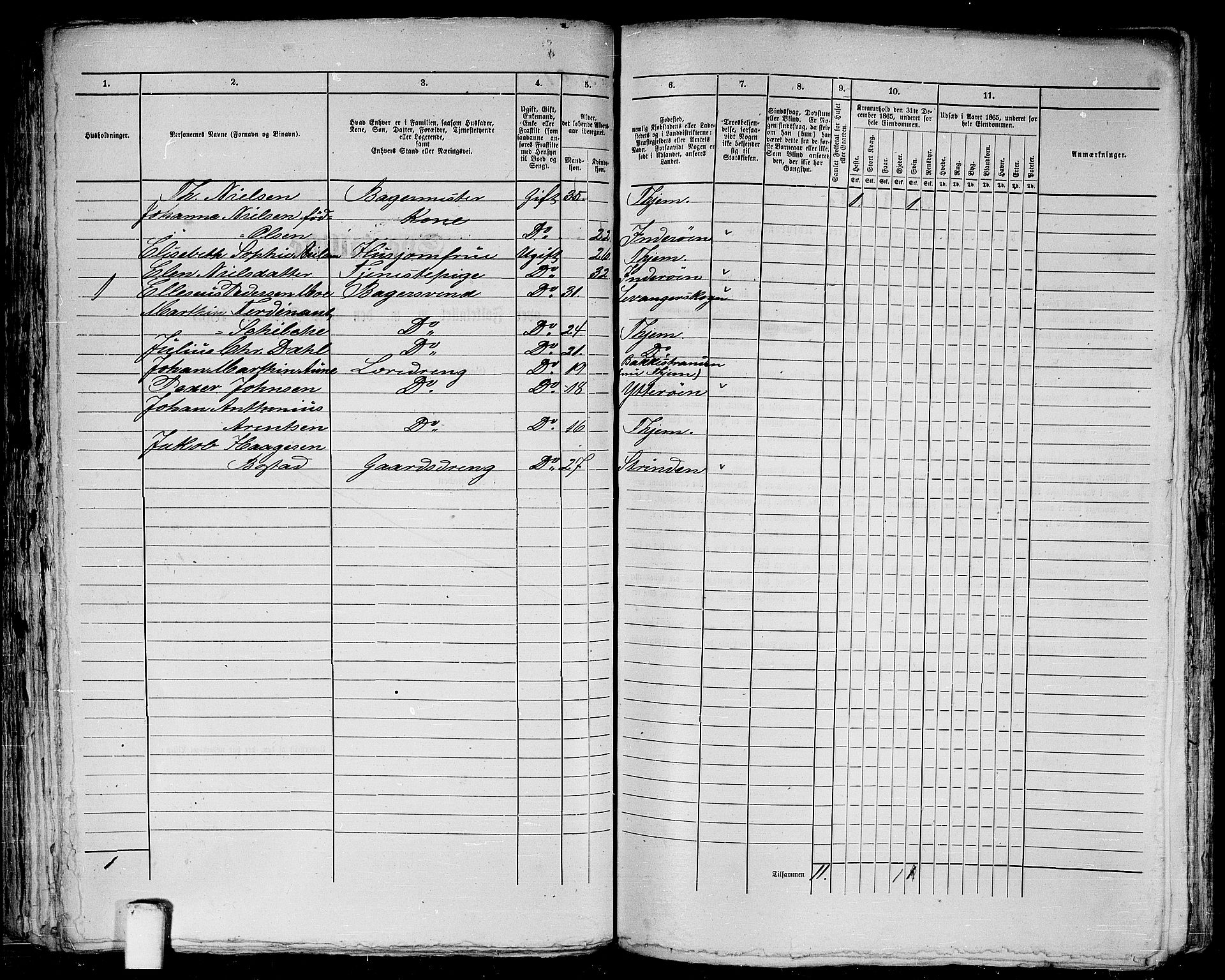 RA, 1865 census for Trondheim, 1865, p. 195