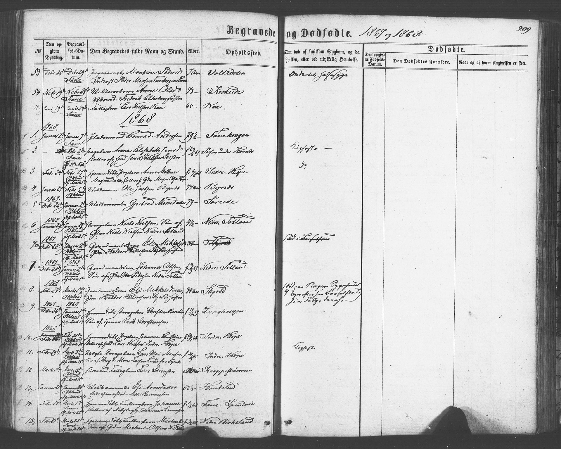 Fana Sokneprestembete, SAB/A-75101/H/Haa/Haaa/L0012: Parish register (official) no. A 12, 1862-1878, p. 209