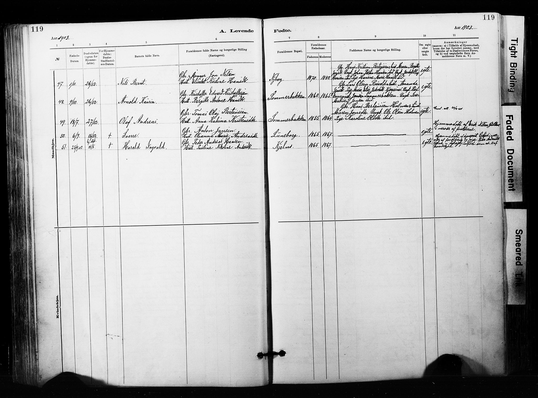 Målselv sokneprestembete, AV/SATØ-S-1311/G/Ga/Gaa/L0007kirke: Parish register (official) no. 7, 1884-1903, p. 119