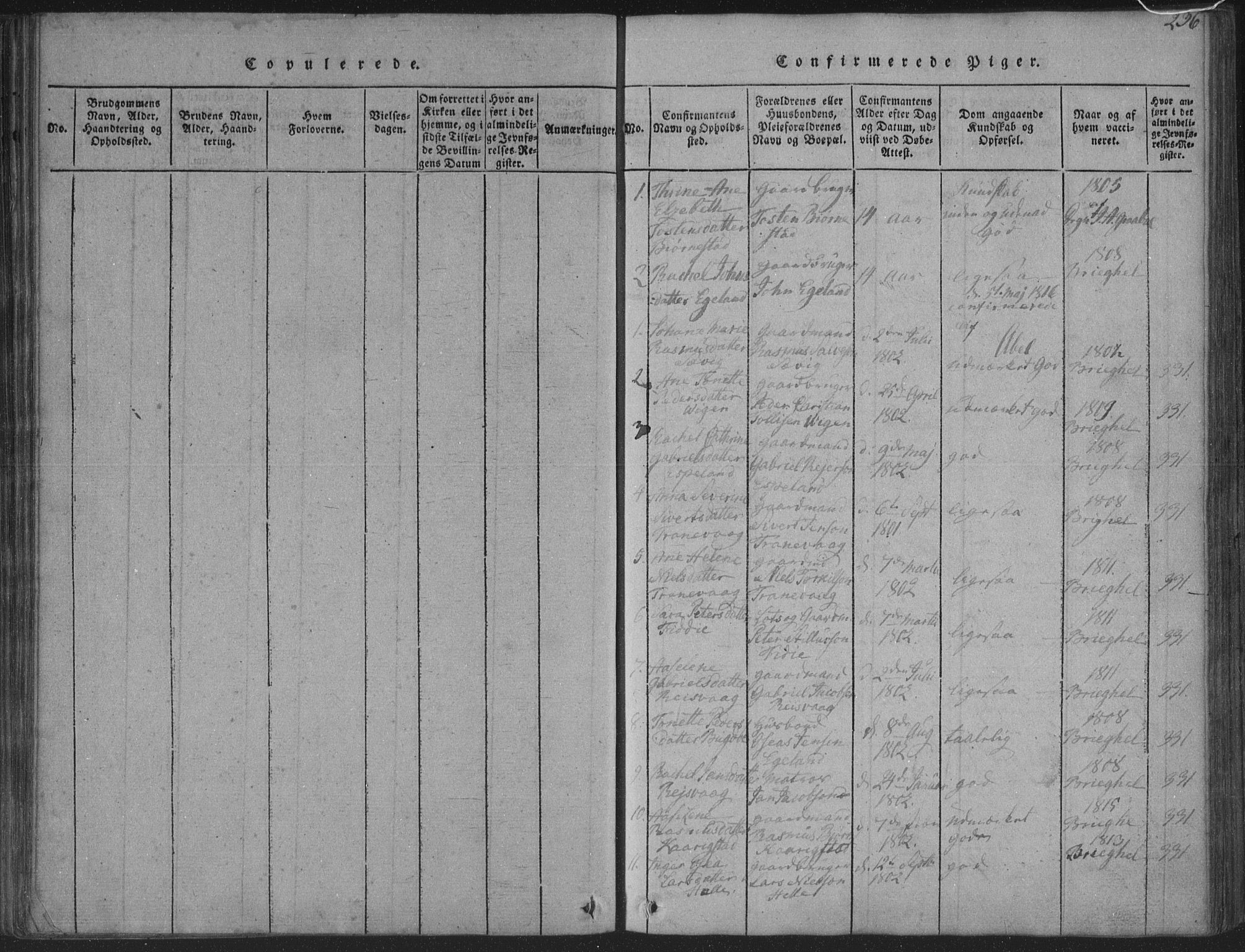 Herad sokneprestkontor, SAK/1111-0018/F/Fa/Fab/L0002: Parish register (official) no. A 2, 1816-1844, p. 236