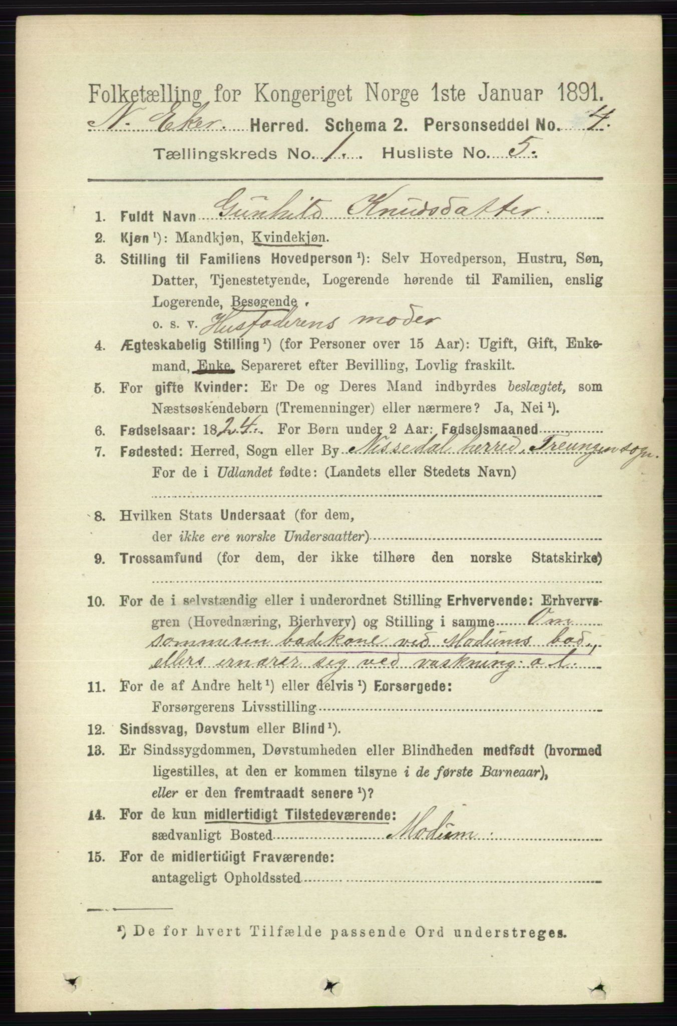 RA, 1891 census for 0625 Nedre Eiker, 1891, p. 101
