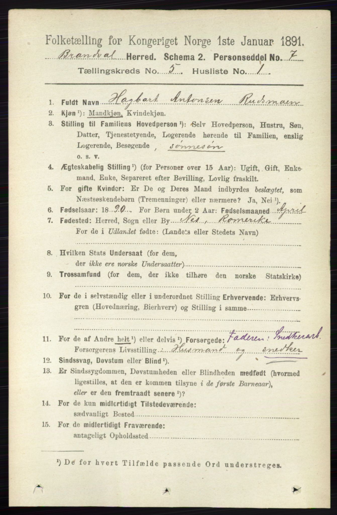 RA, 1891 census for 0422 Brandval, 1891, p. 2207