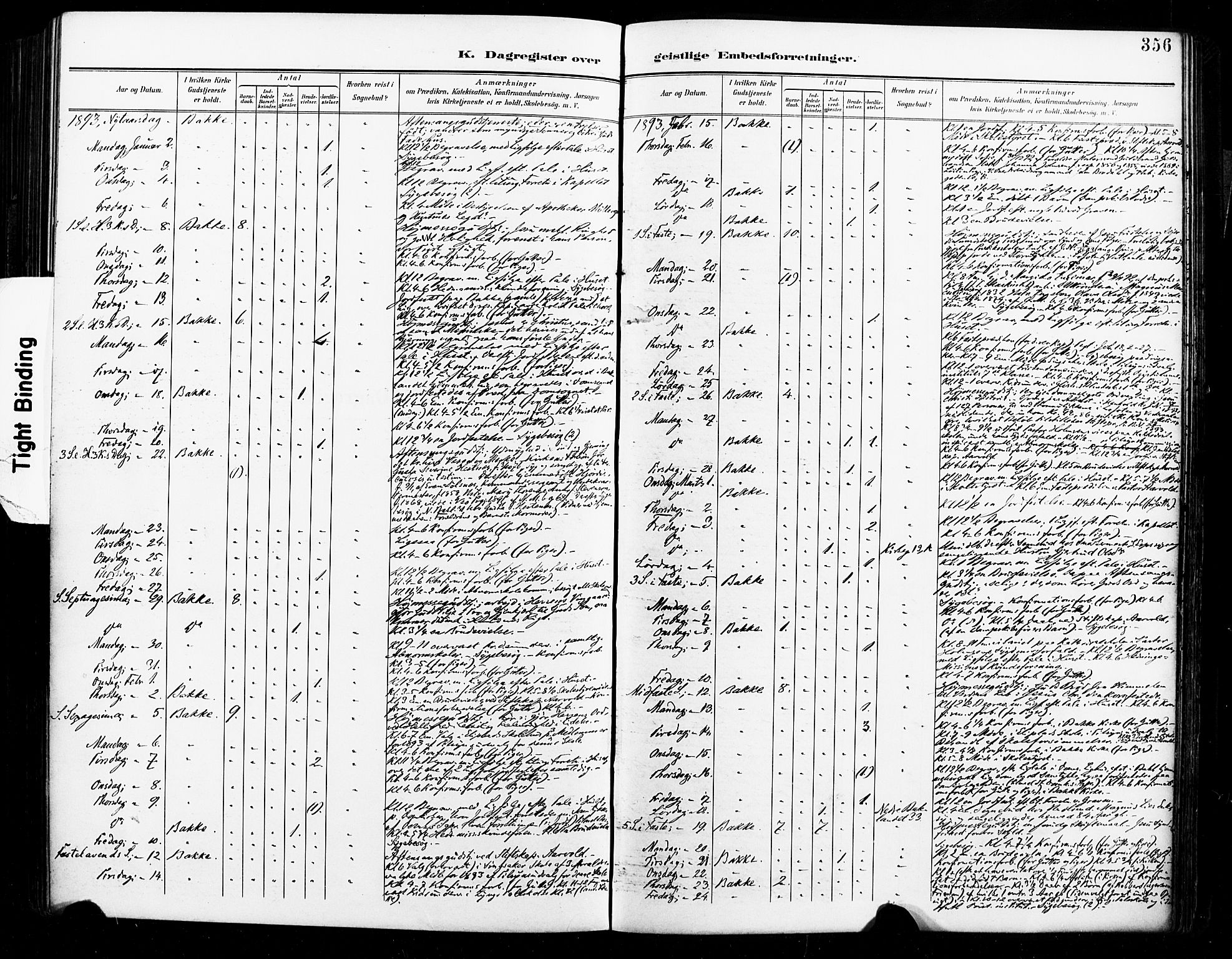 Ministerialprotokoller, klokkerbøker og fødselsregistre - Sør-Trøndelag, SAT/A-1456/604/L0198: Parish register (official) no. 604A19, 1893-1900, p. 356