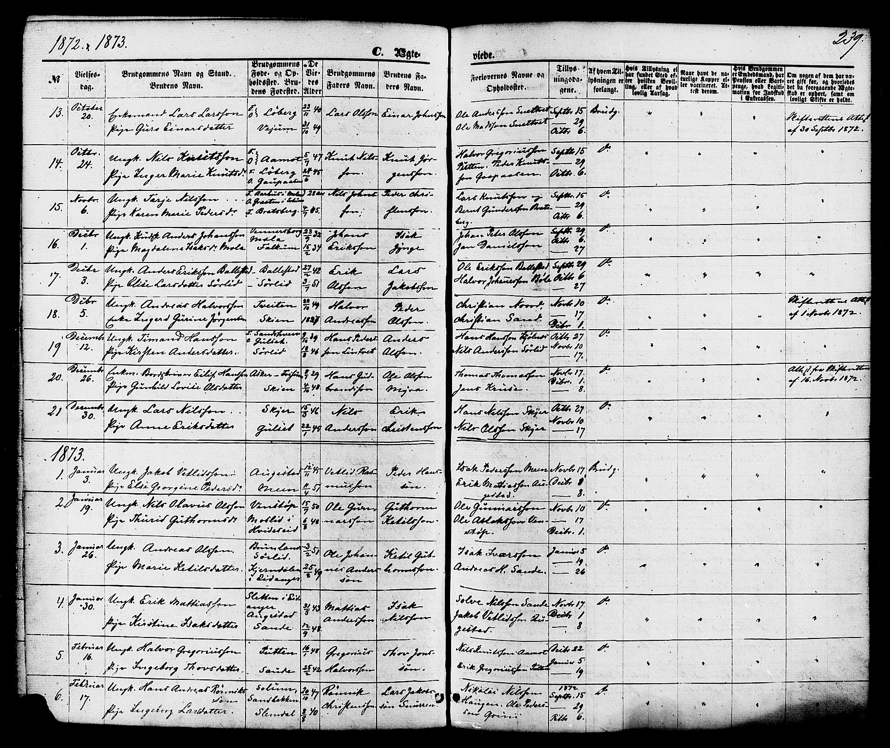 Gjerpen kirkebøker, SAKO/A-265/F/Fa/L0009: Parish register (official) no. I 9, 1872-1885, p. 239