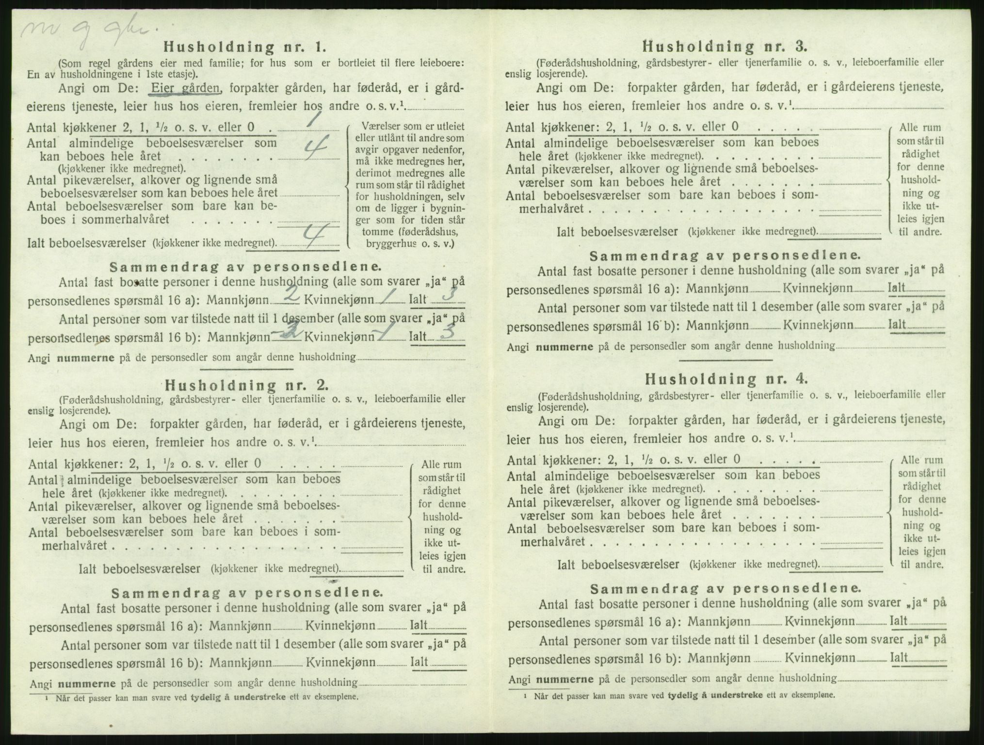 SAT, 1920 census for Nesset, 1920, p. 419