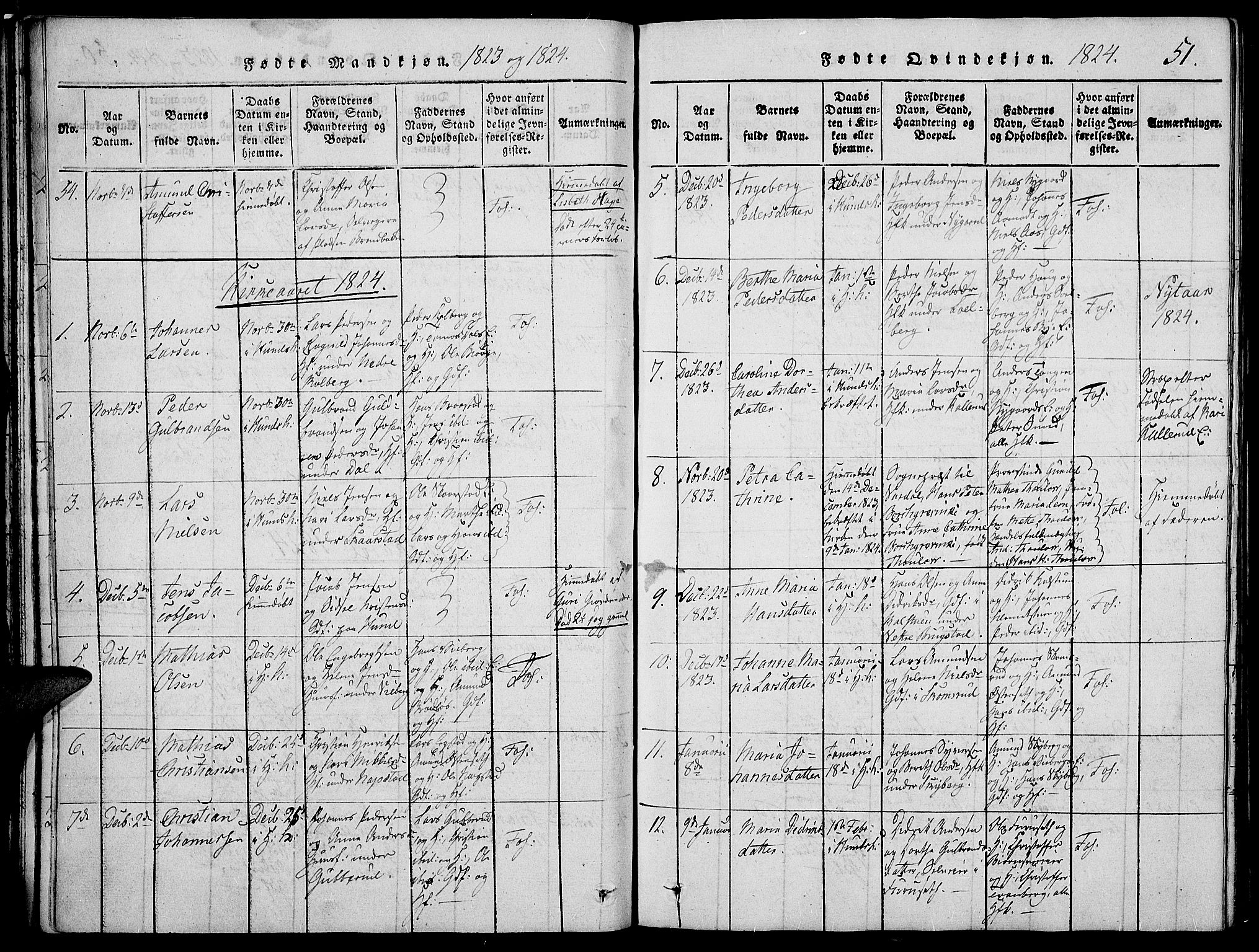 Vardal prestekontor, SAH/PREST-100/H/Ha/Haa/L0004: Parish register (official) no. 4, 1814-1831, p. 51