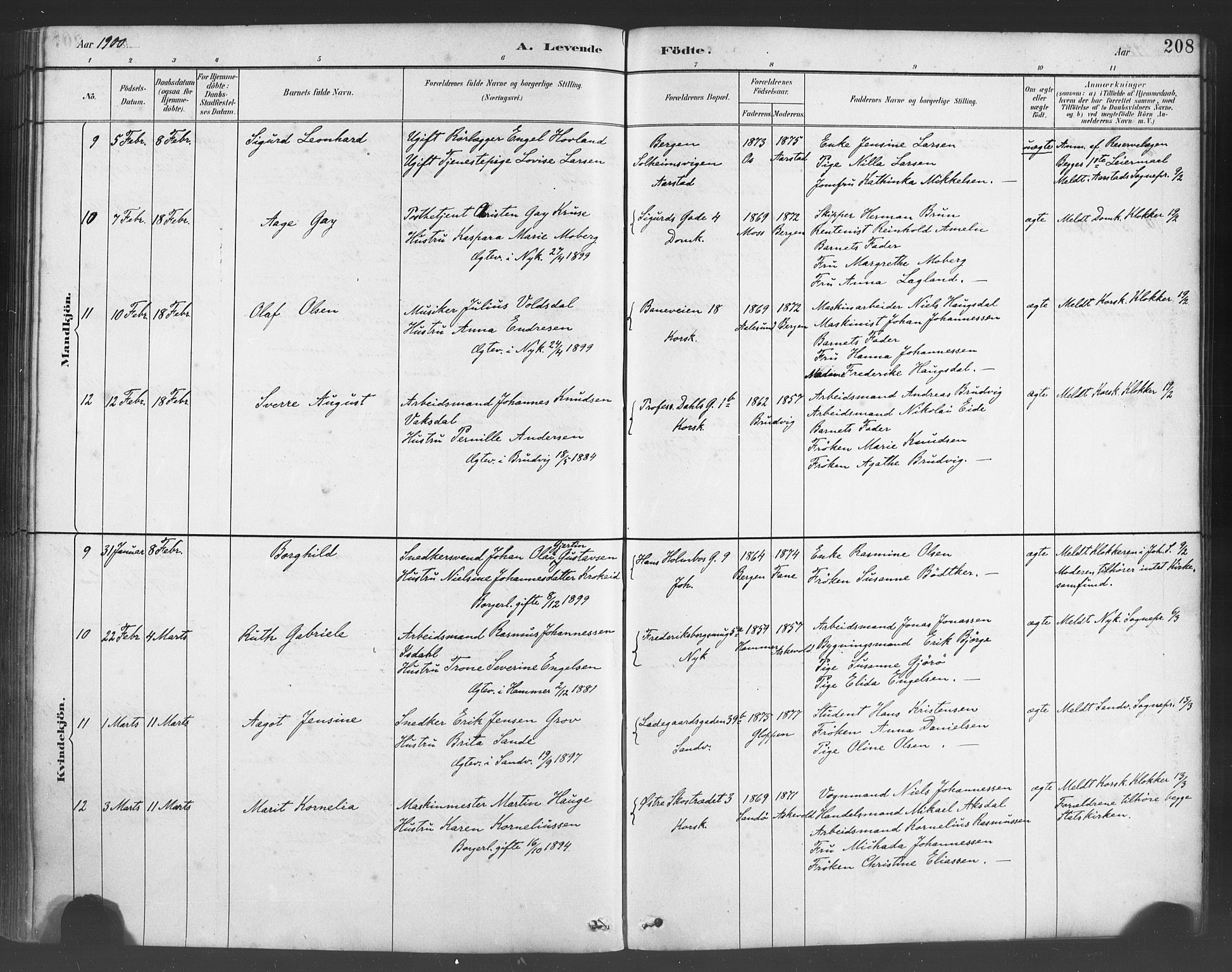 Fødselsstiftelsens sokneprestembete*, SAB/-: Parish register (official) no. A 2, 1884-1900, p. 208