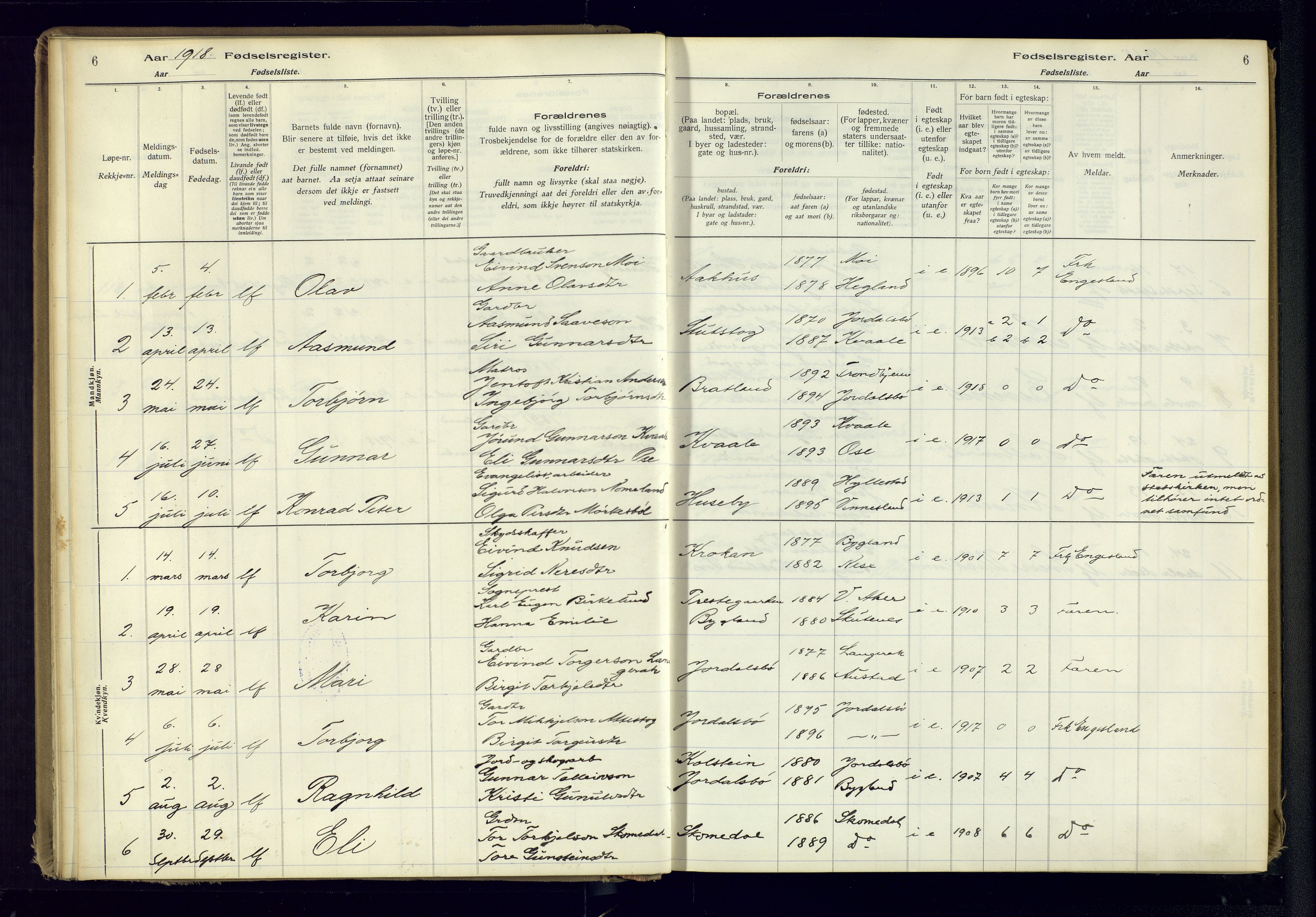 Bygland sokneprestkontor, SAK/1111-0006/J/Ja/L0001: Birth register no. II.4.2, 1916-1982, p. 6