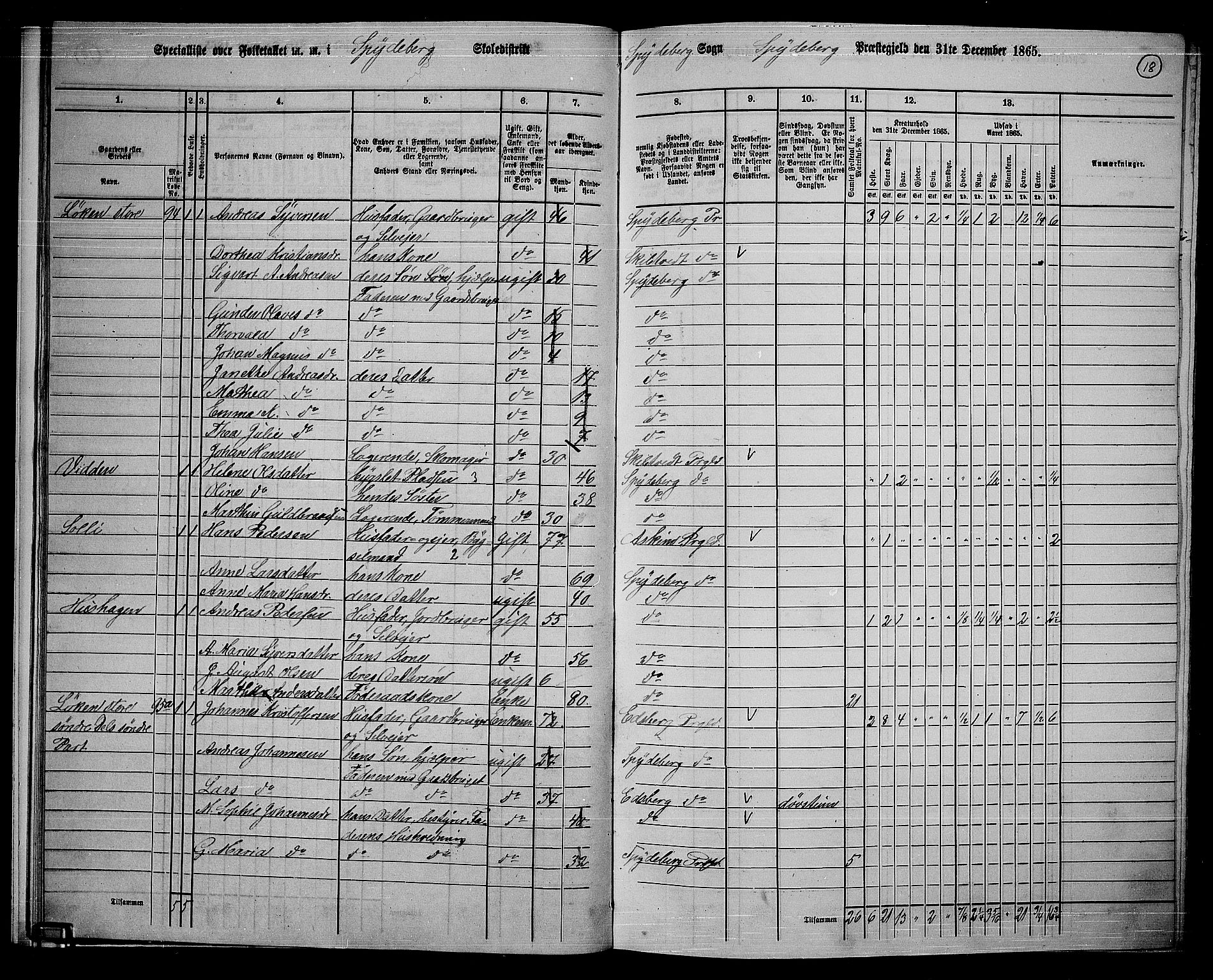 RA, 1865 census for Spydeberg, 1865, p. 17