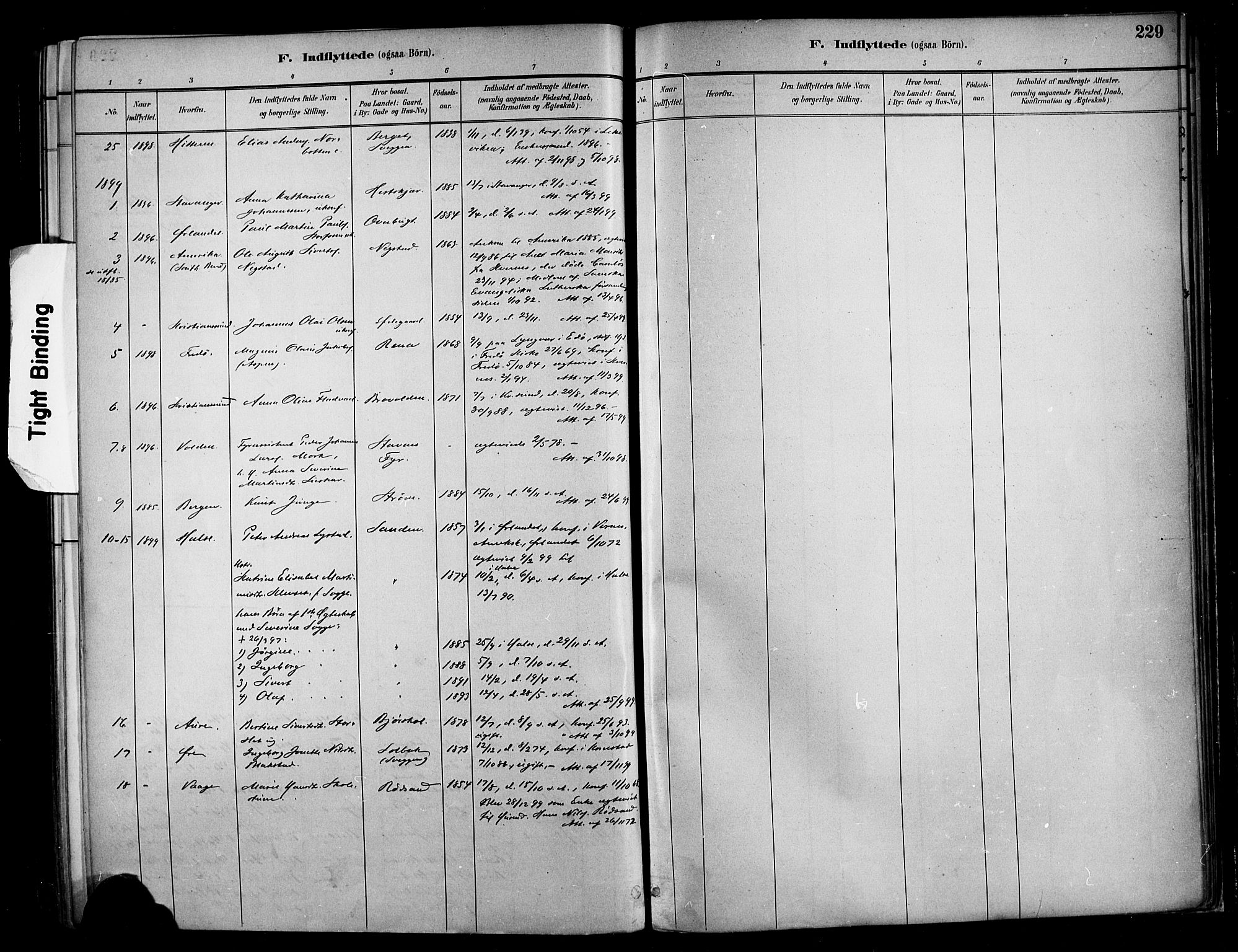 Ministerialprotokoller, klokkerbøker og fødselsregistre - Møre og Romsdal, SAT/A-1454/569/L0819: Parish register (official) no. 569A05, 1885-1899, p. 229