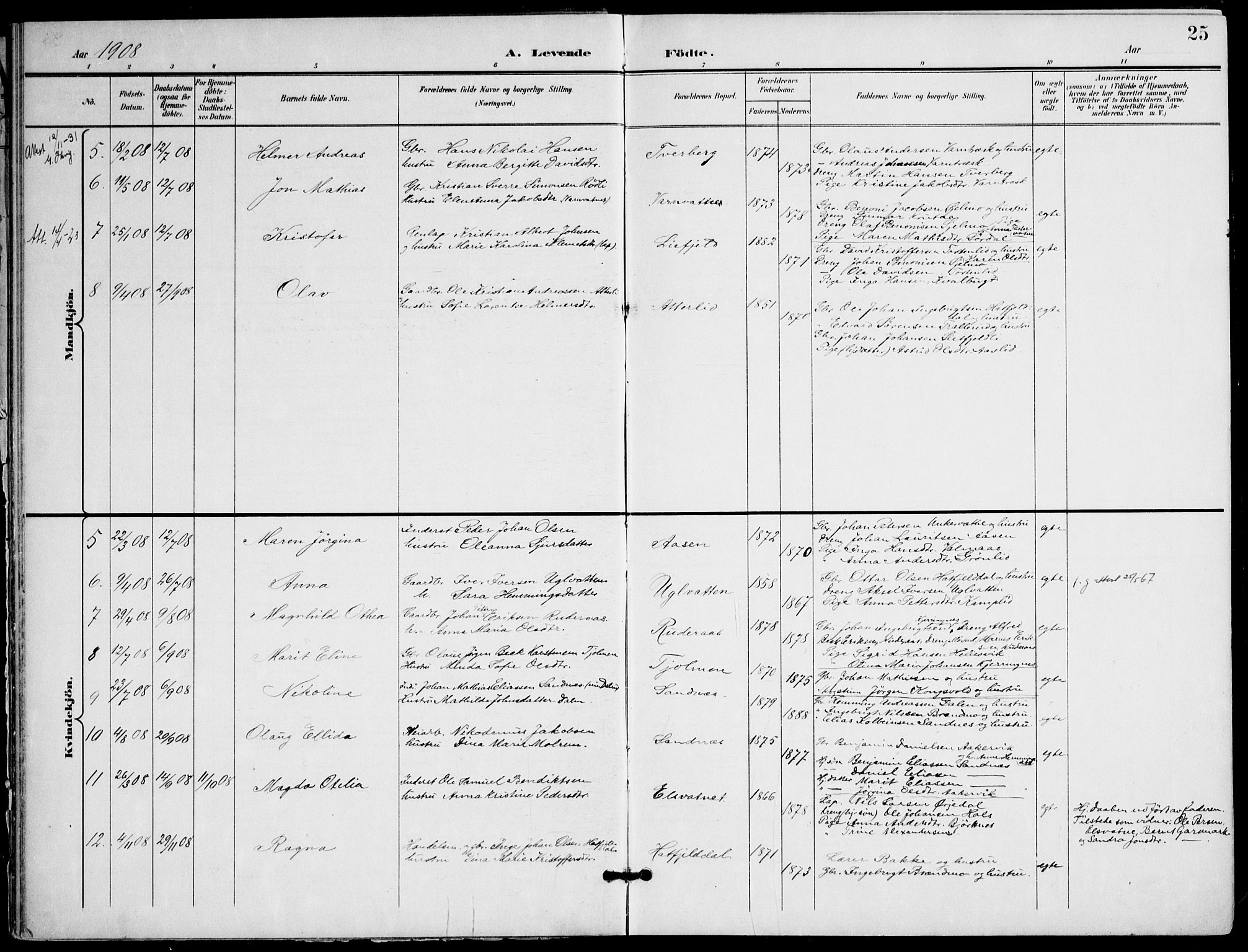 Ministerialprotokoller, klokkerbøker og fødselsregistre - Nordland, AV/SAT-A-1459/823/L0326: Parish register (official) no. 823A03, 1899-1919, p. 25