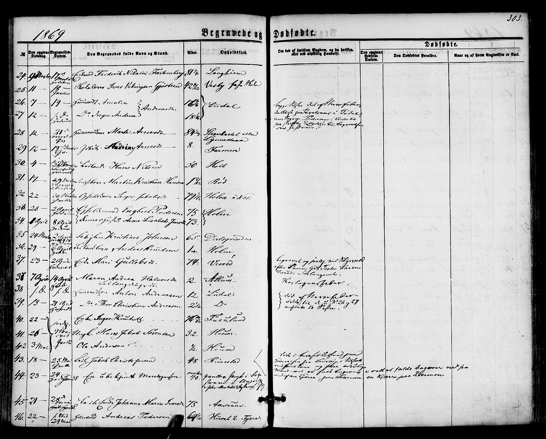 Hedrum kirkebøker, AV/SAKO-A-344/F/Fa/L0008: Parish register (official) no. I 8, 1869-1880, p. 303