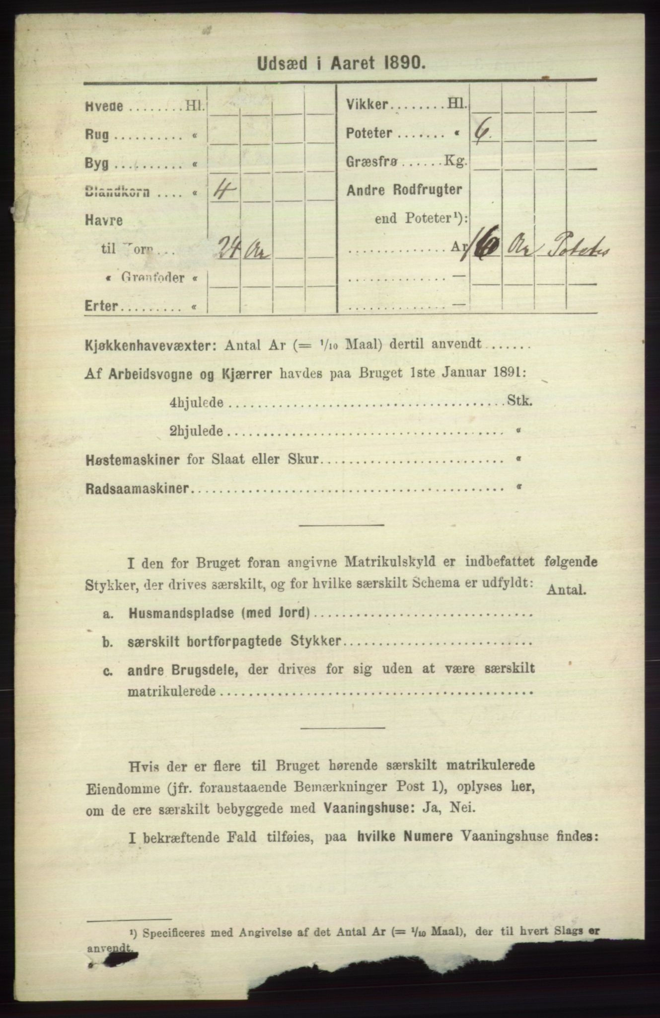 RA, 1891 census for 1251 Bruvik, 1891, p. 4731