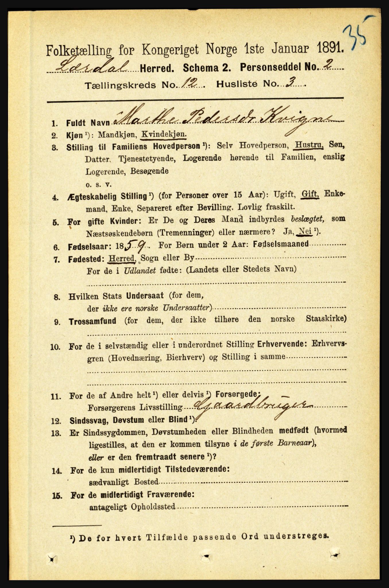 RA, 1891 census for 1422 Lærdal, 1891, p. 2565