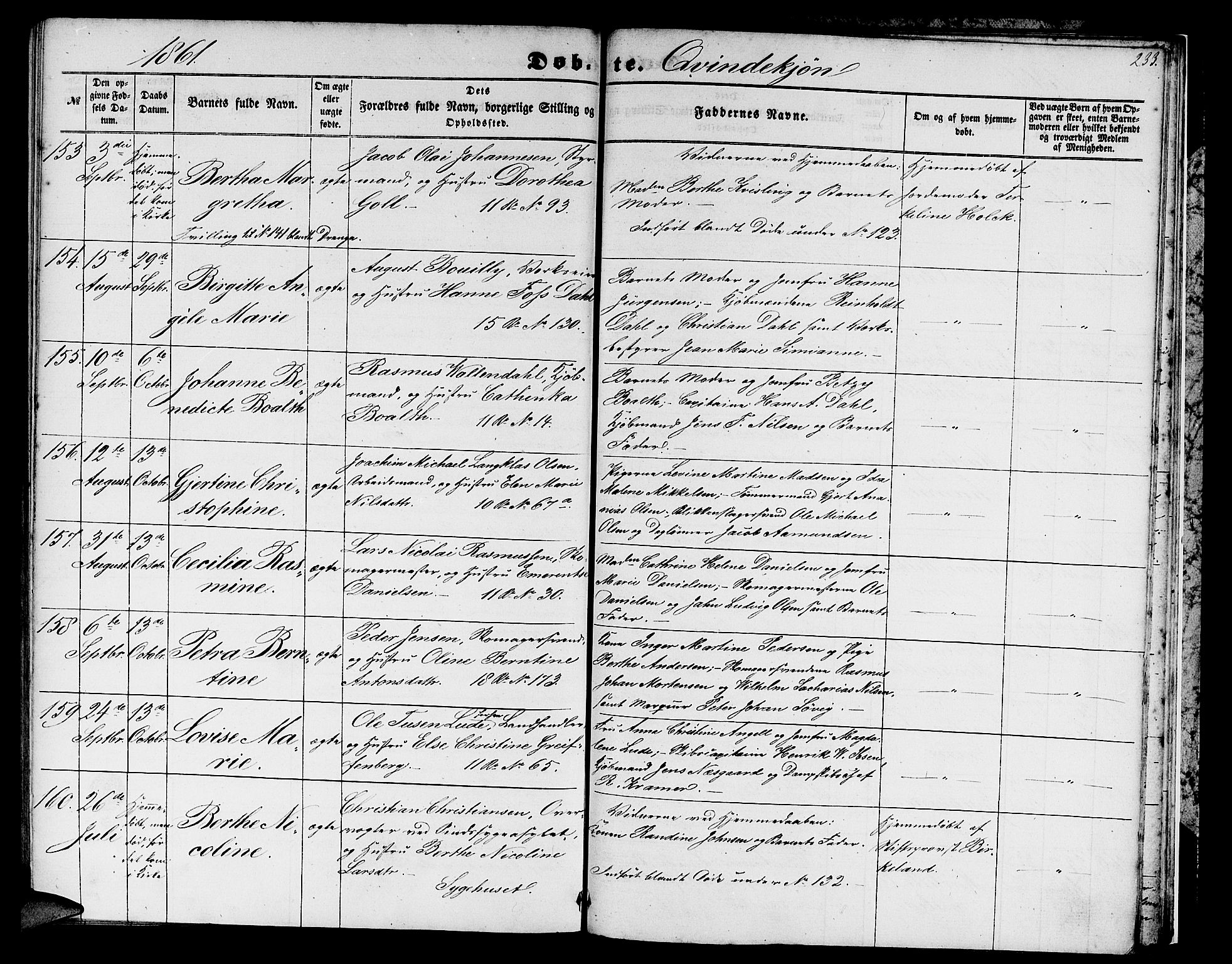 Domkirken sokneprestembete, SAB/A-74801/H/Hab/L0011: Parish register (copy) no. B 4, 1856-1862, p. 233