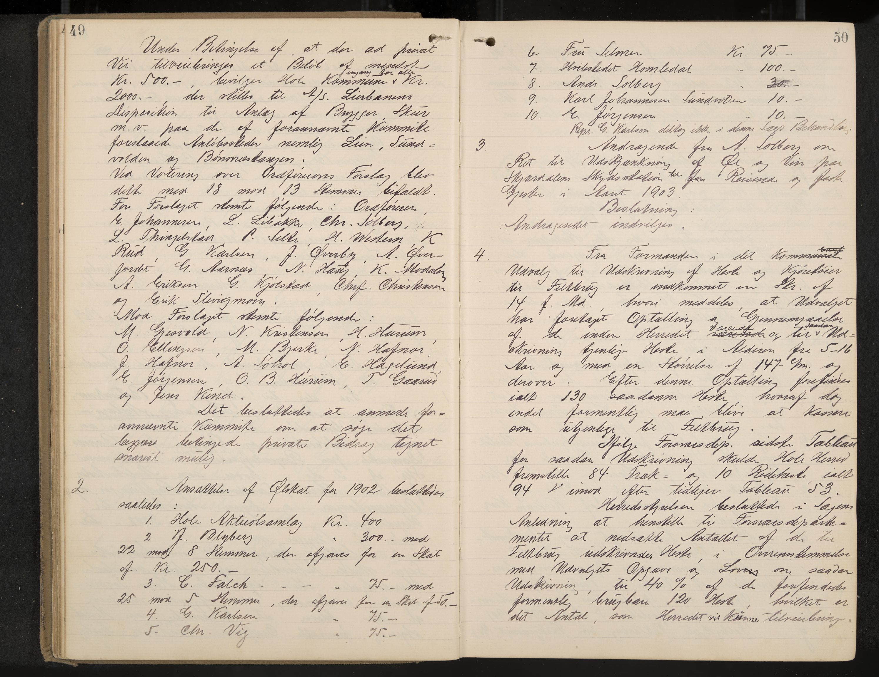 Hole formannskap og sentraladministrasjon, IKAK/0612021-1/A/Aa/L0004: Møtebok med register, 1902-1910, p. 49-50