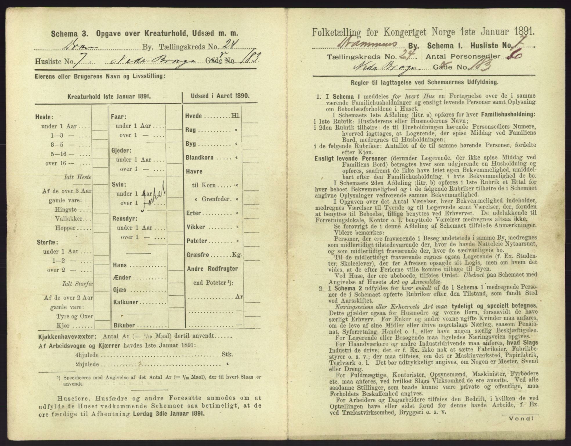 RA, 1891 census for 0602 Drammen, 1891, p. 2007