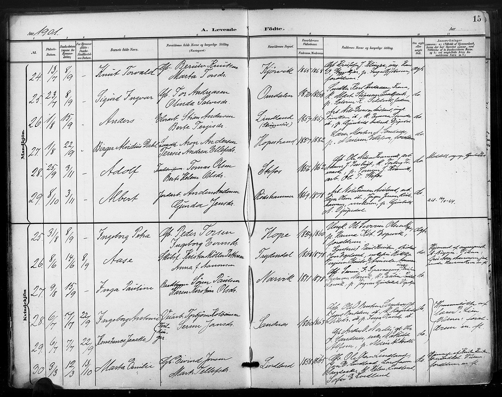 Søndeled sokneprestkontor, AV/SAK-1111-0038/F/Fa/L0006: Parish register (official) no. A 6, 1900-1922, p. 15