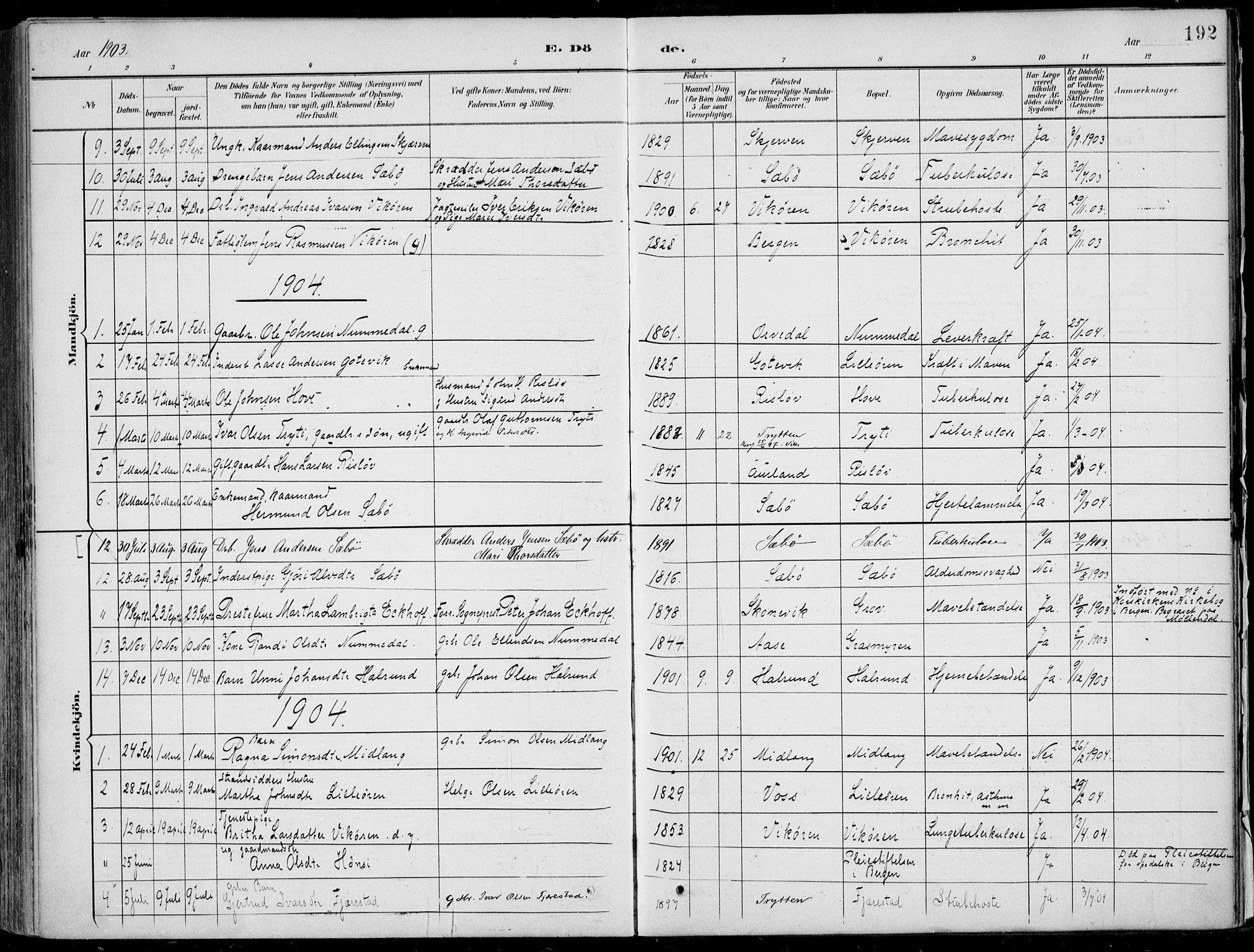 Vik sokneprestembete, AV/SAB-A-81501/H/Haa/Haab/L0002: Parish register (official) no. B  2, 1891-1907, p. 192