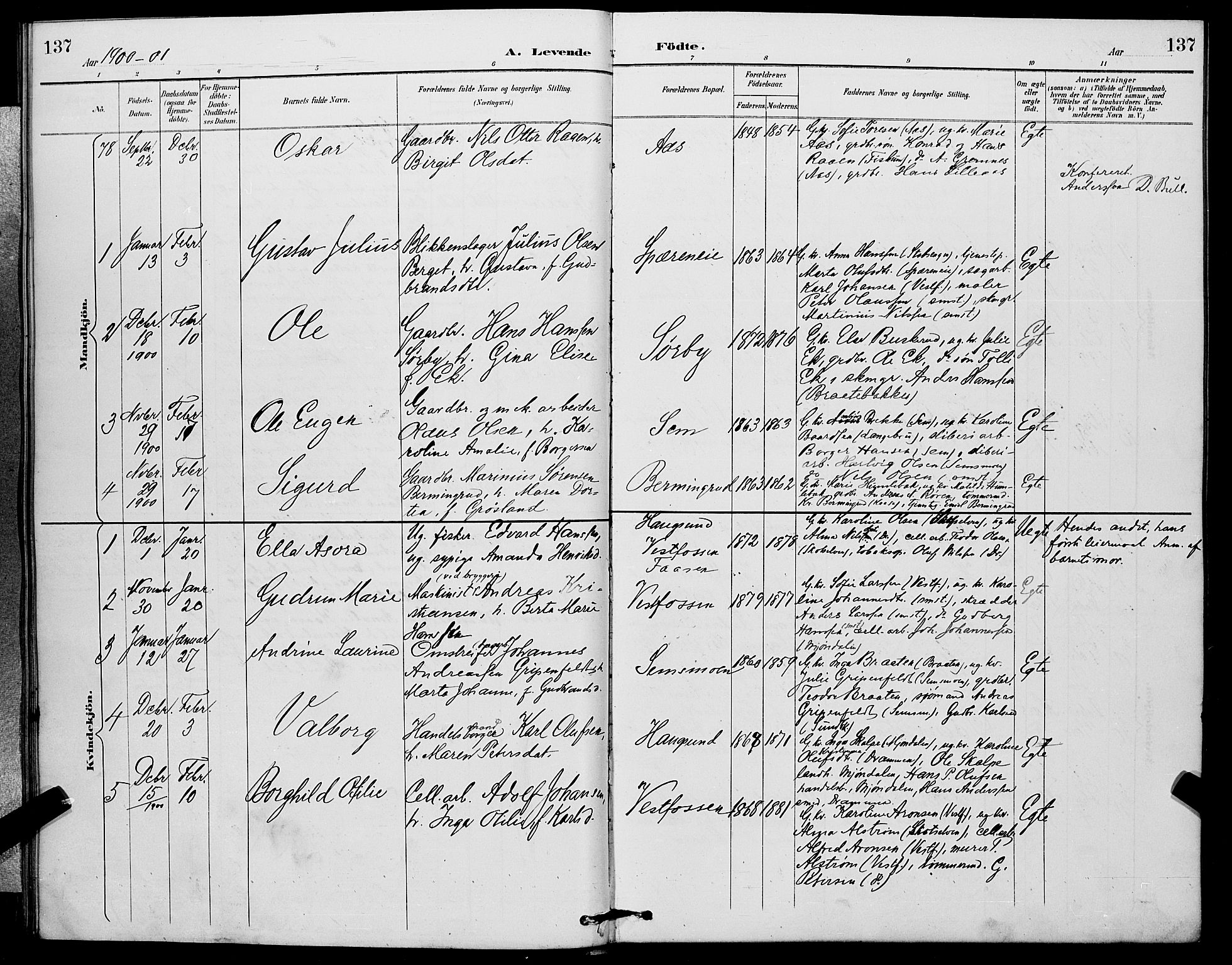 Eiker kirkebøker, SAKO/A-4/G/Ga/L0007: Parish register (copy) no. I 7, 1893-1902, p. 137