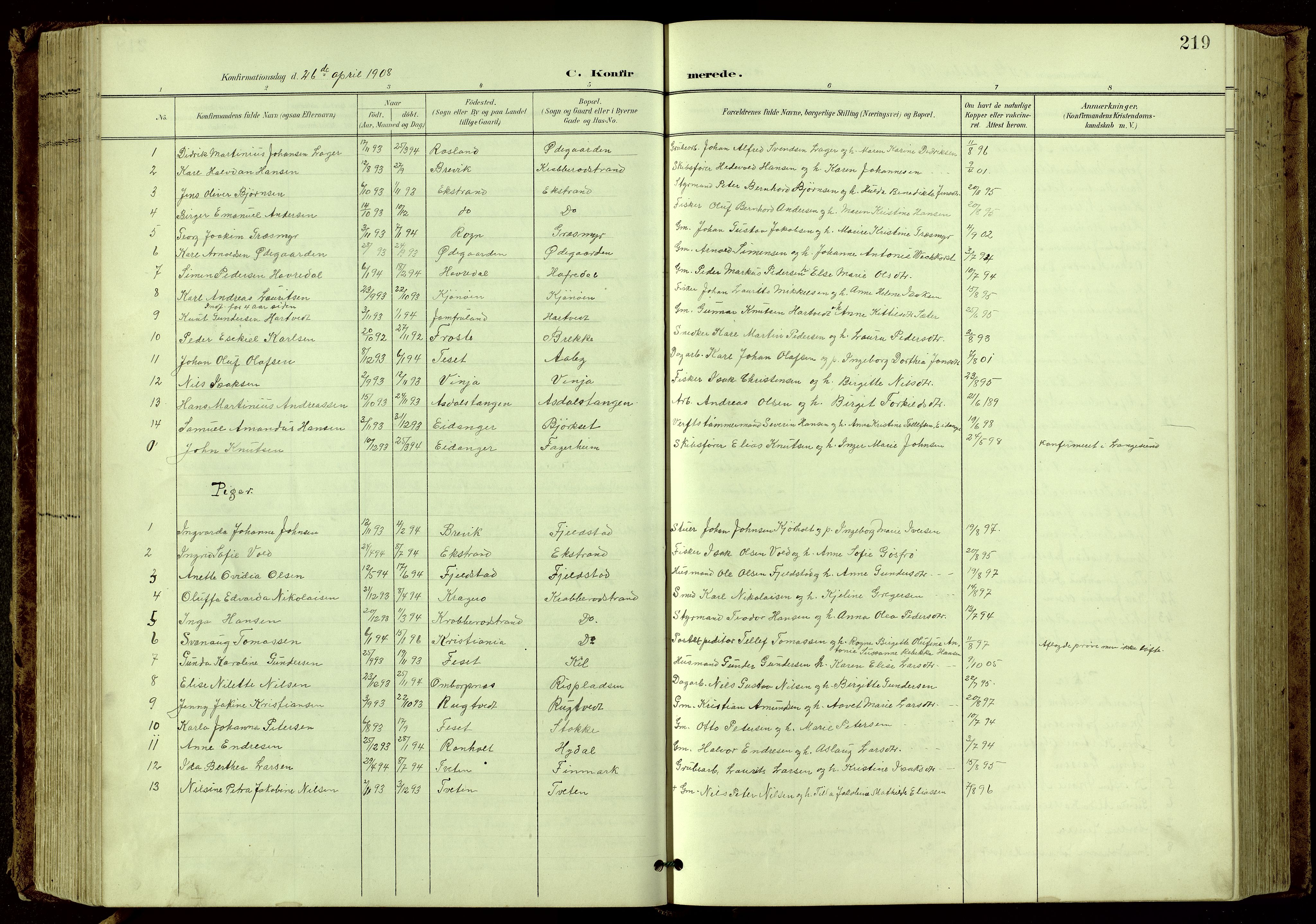 Bamble kirkebøker, SAKO/A-253/G/Ga/L0010: Parish register (copy) no. I 10, 1901-1919, p. 219
