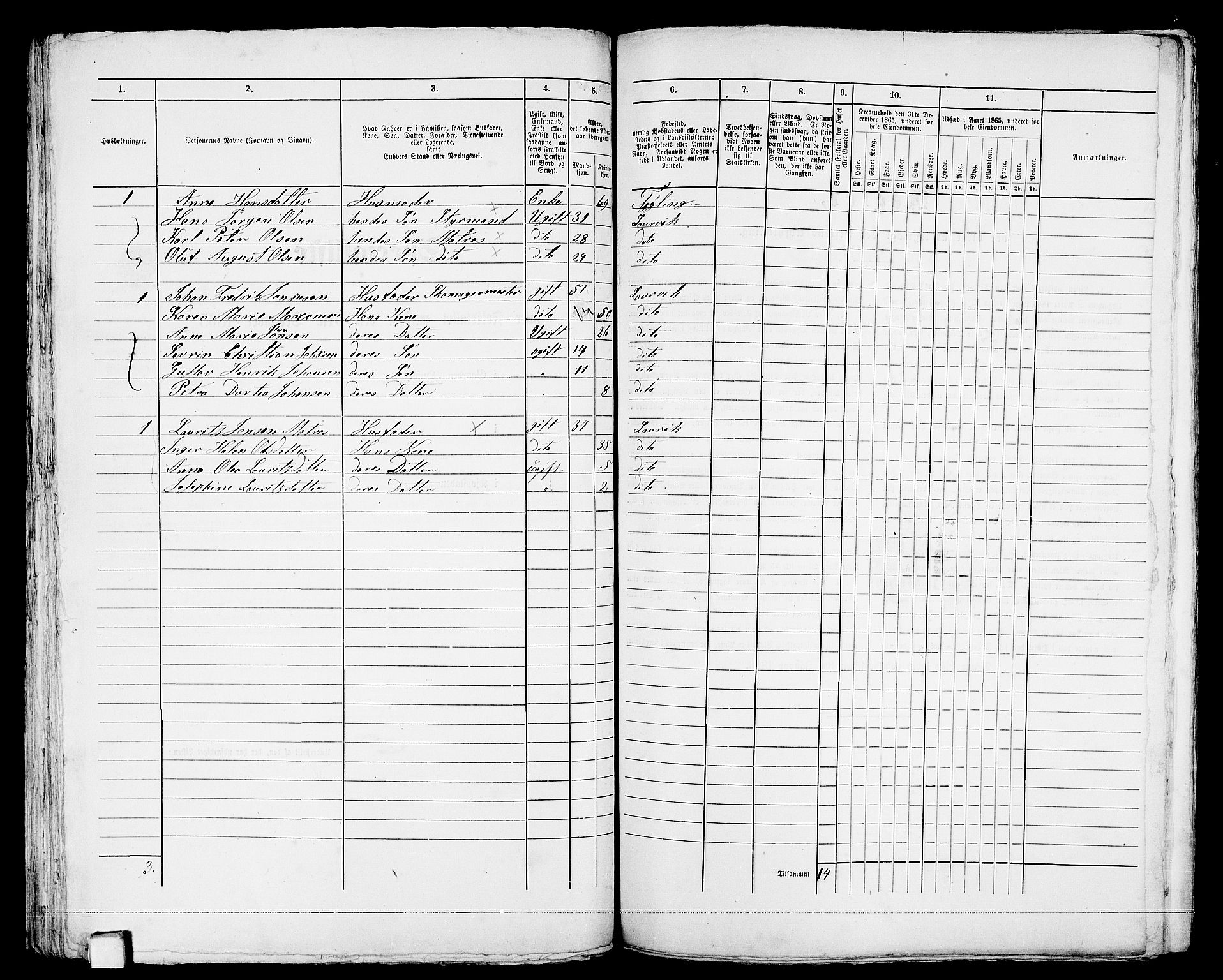 RA, 1865 census for Larvik, 1865, p. 96