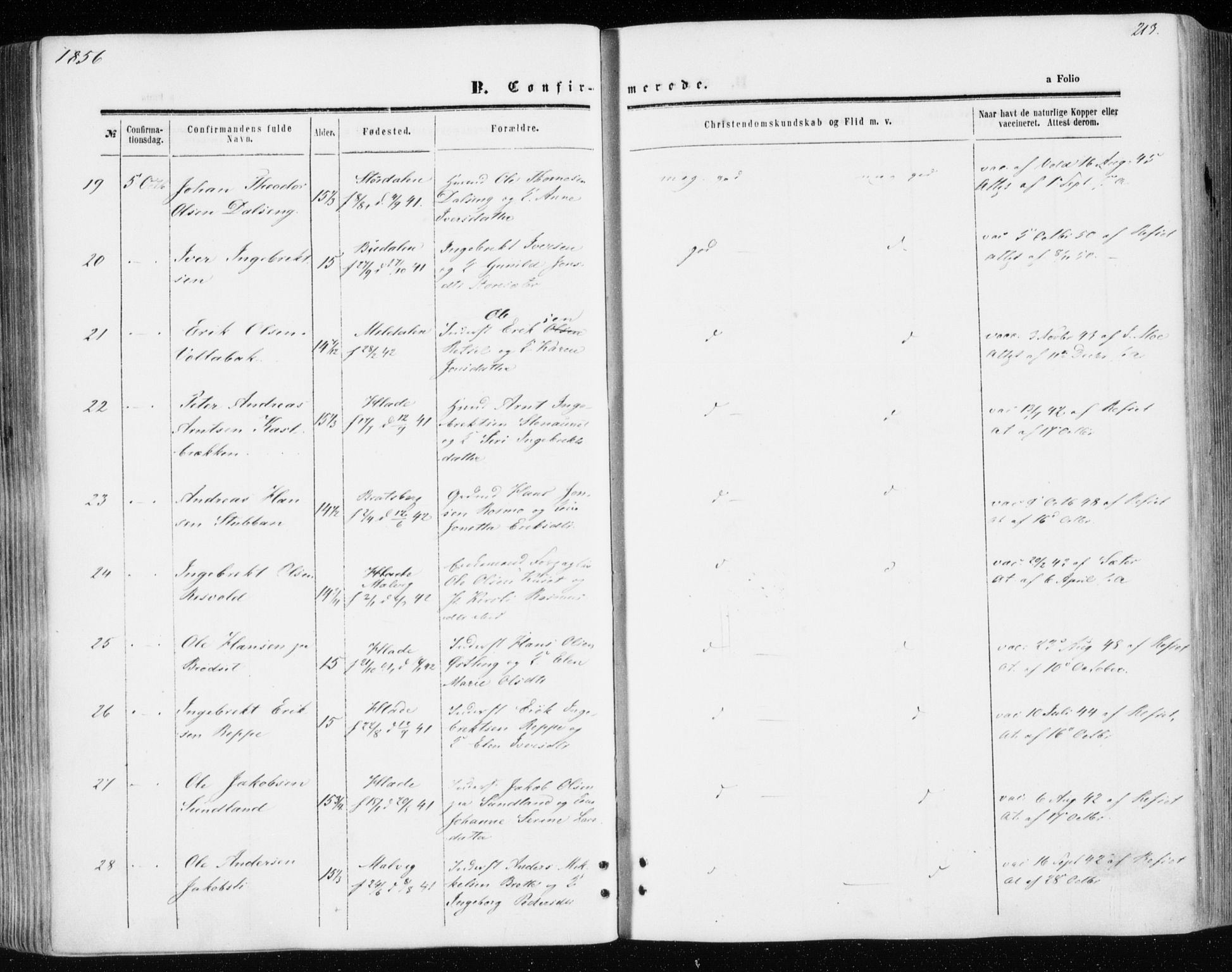 Ministerialprotokoller, klokkerbøker og fødselsregistre - Sør-Trøndelag, AV/SAT-A-1456/606/L0292: Parish register (official) no. 606A07, 1856-1865, p. 213