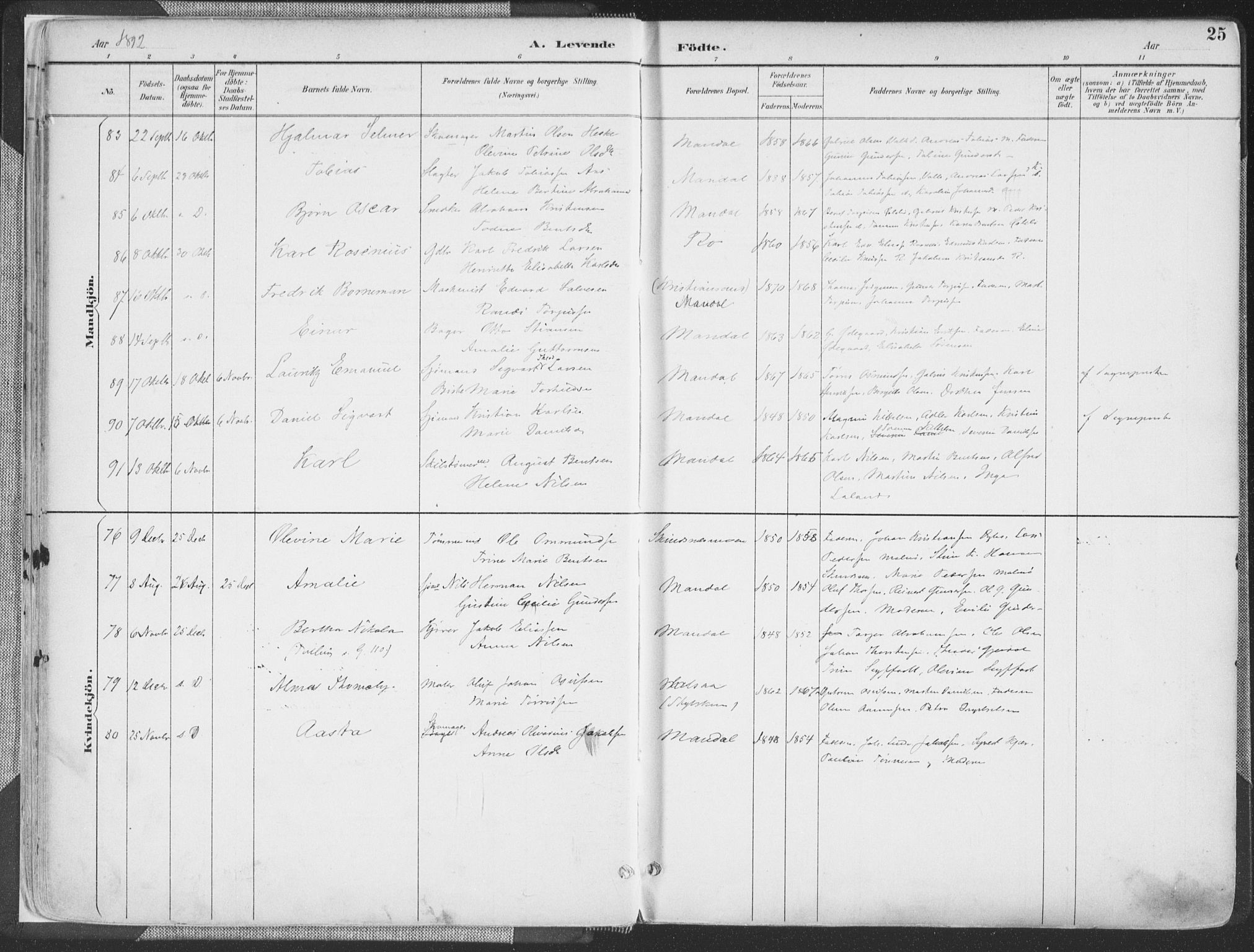 Mandal sokneprestkontor, AV/SAK-1111-0030/F/Fa/Faa/L0018: Parish register (official) no. A 18, 1890-1905, p. 25