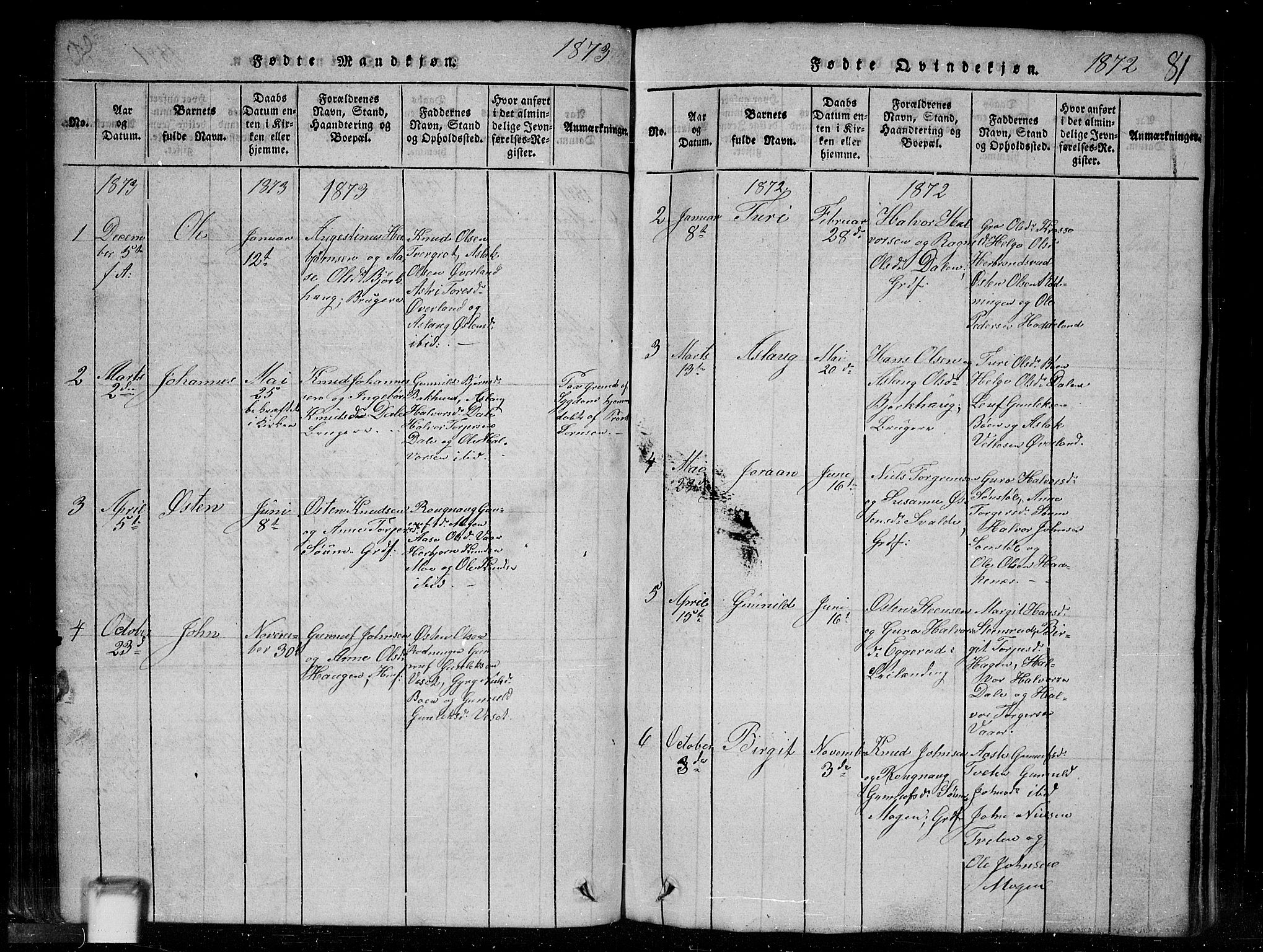 Tinn kirkebøker, AV/SAKO-A-308/G/Gc/L0001: Parish register (copy) no. III 1, 1815-1879, p. 81