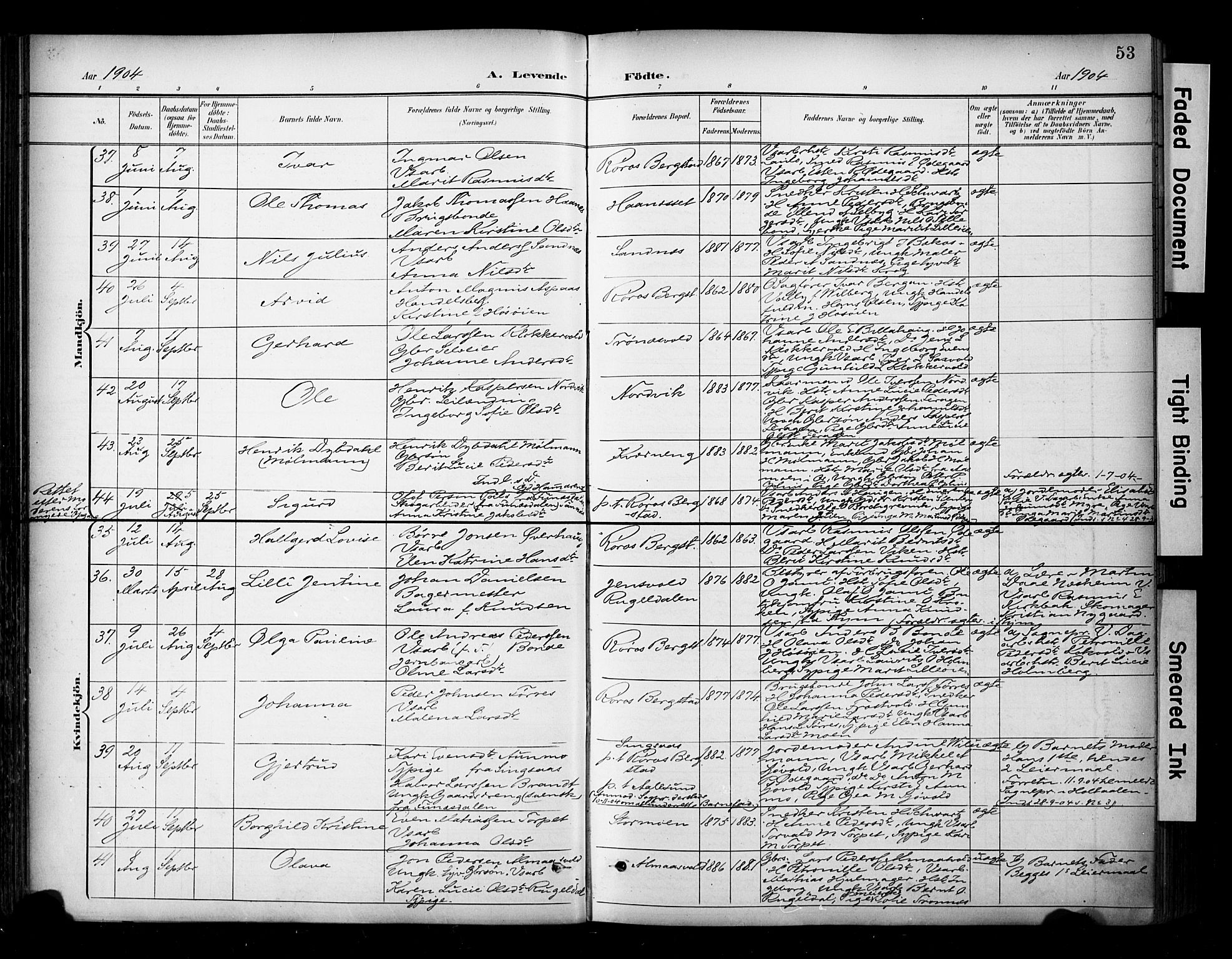 Ministerialprotokoller, klokkerbøker og fødselsregistre - Sør-Trøndelag, SAT/A-1456/681/L0936: Parish register (official) no. 681A14, 1899-1908, p. 53