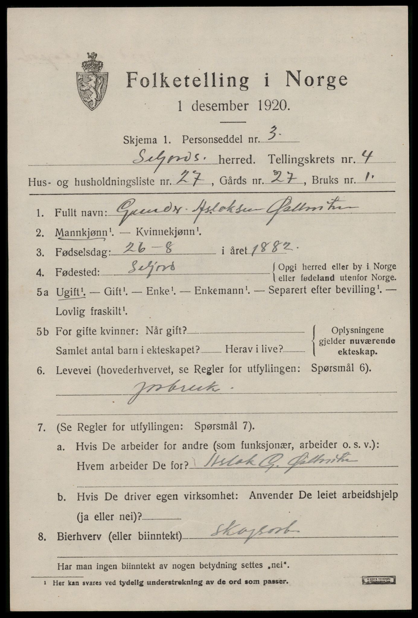 SAKO, 1920 census for Seljord, 1920, p. 2366