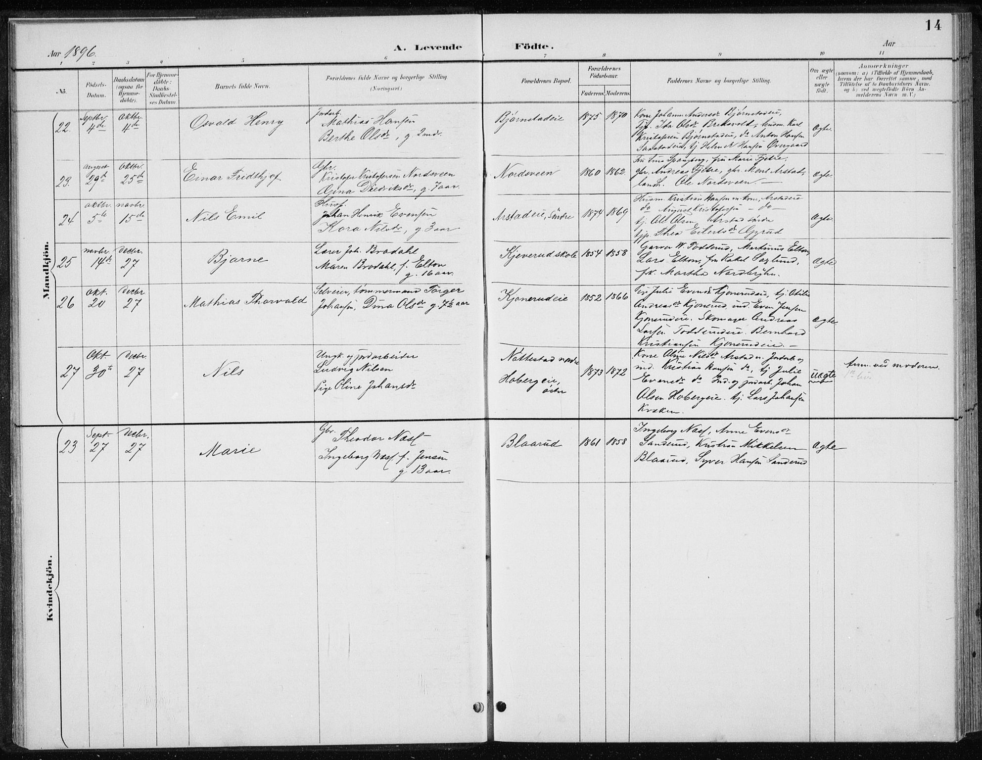 Stange prestekontor, AV/SAH-PREST-002/L/L0010: Parish register (copy) no. 10, 1894-1905, p. 14