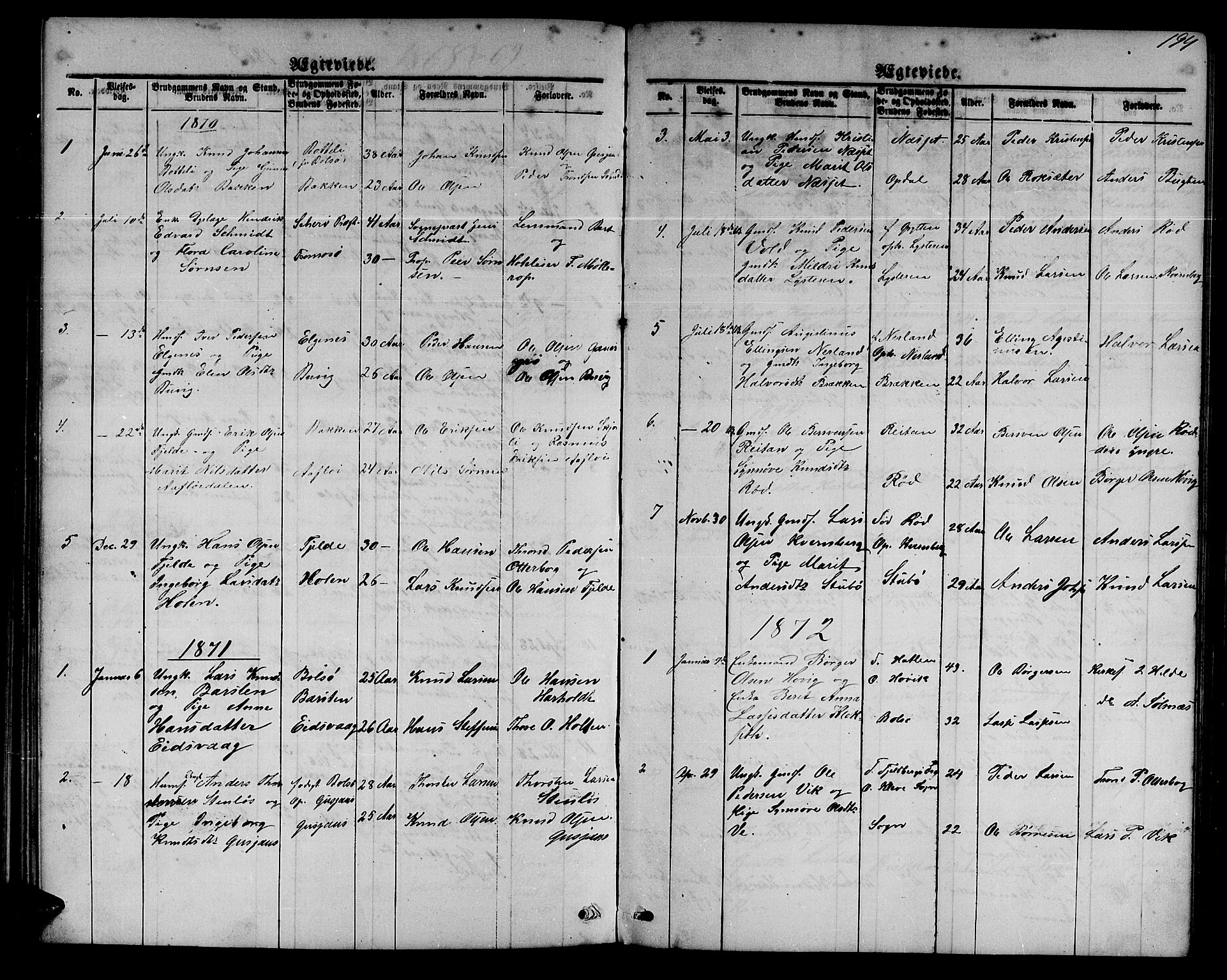 Ministerialprotokoller, klokkerbøker og fødselsregistre - Møre og Romsdal, SAT/A-1454/551/L0630: Parish register (copy) no. 551C02, 1867-1885, p. 194